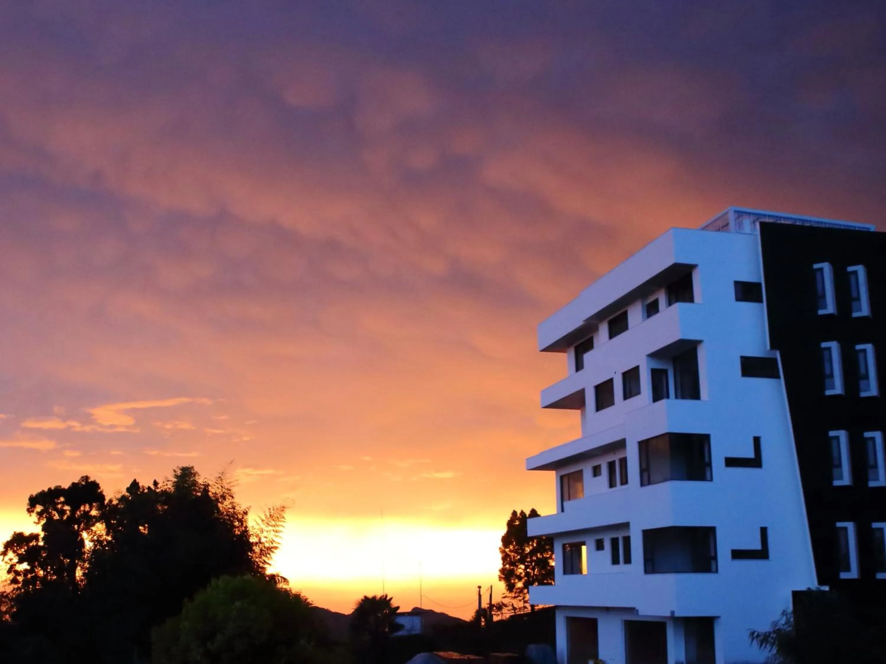 Property building in Alishan B&B YunMinGi