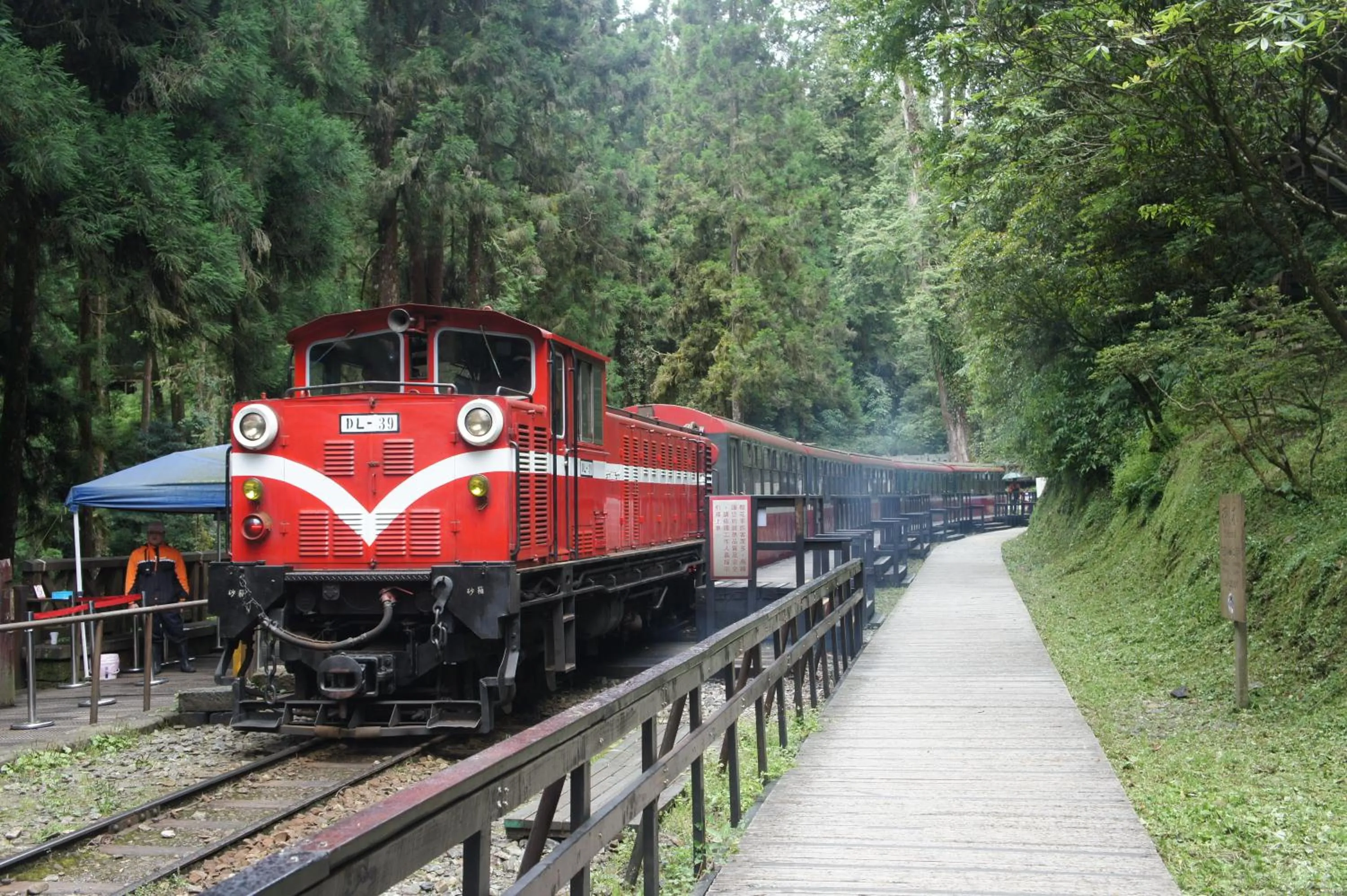 View (from property/room) in Alishan B&B YunMinGi