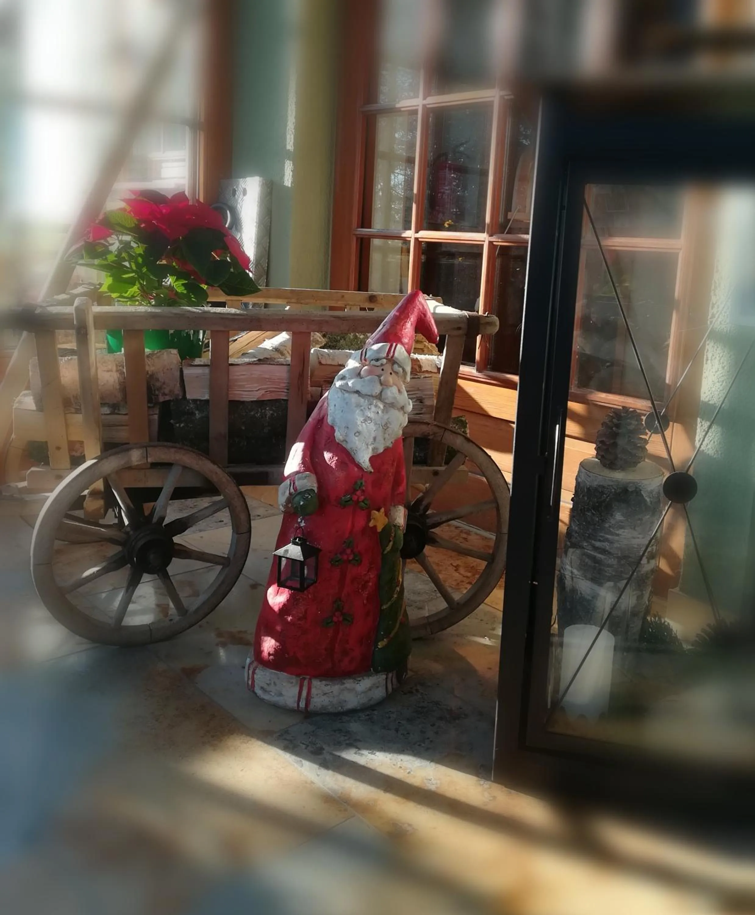 Winter in Waldhotel Kreuztanne