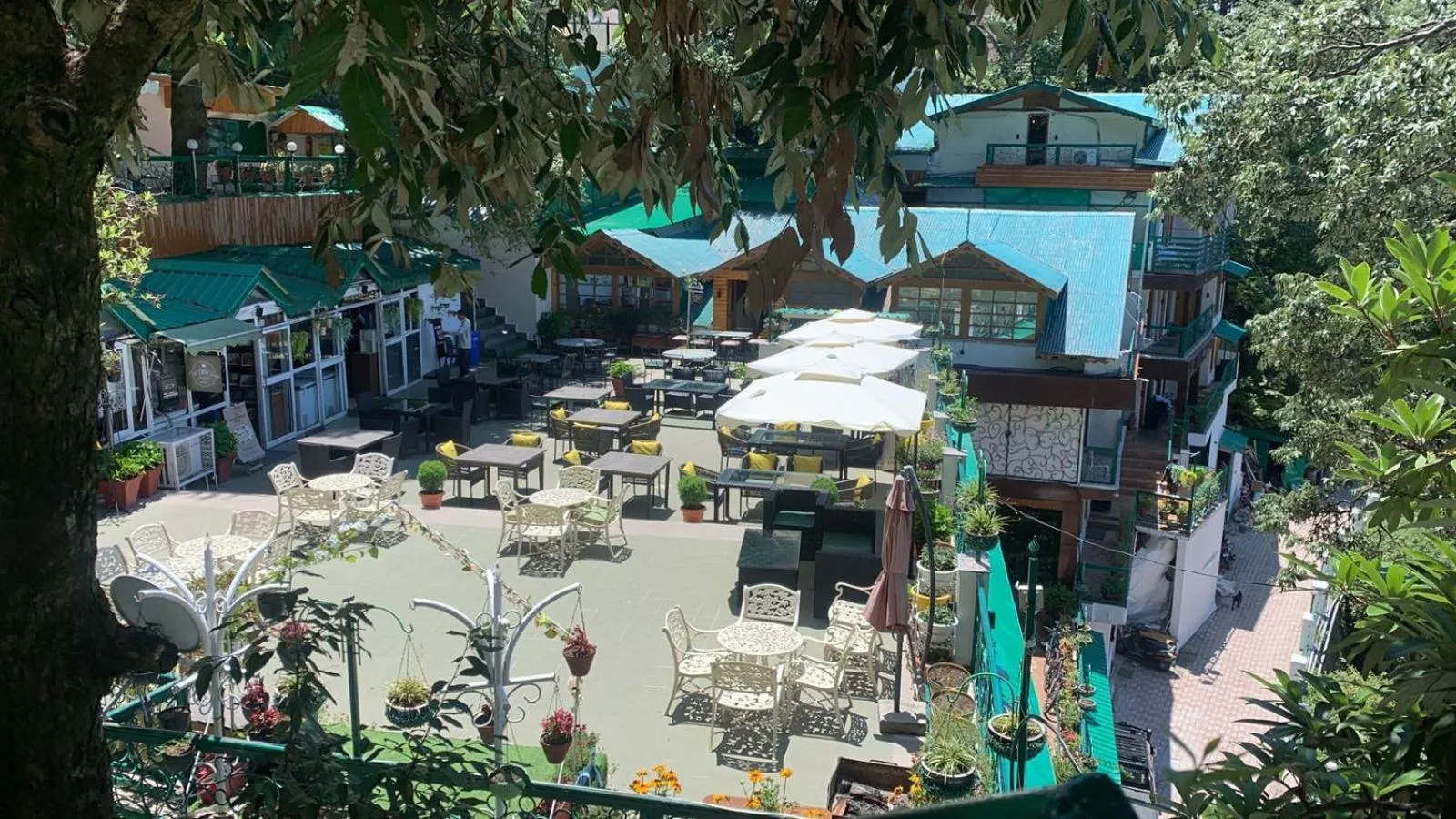 Restaurant/places to eat in Mongas Hotel & Resort