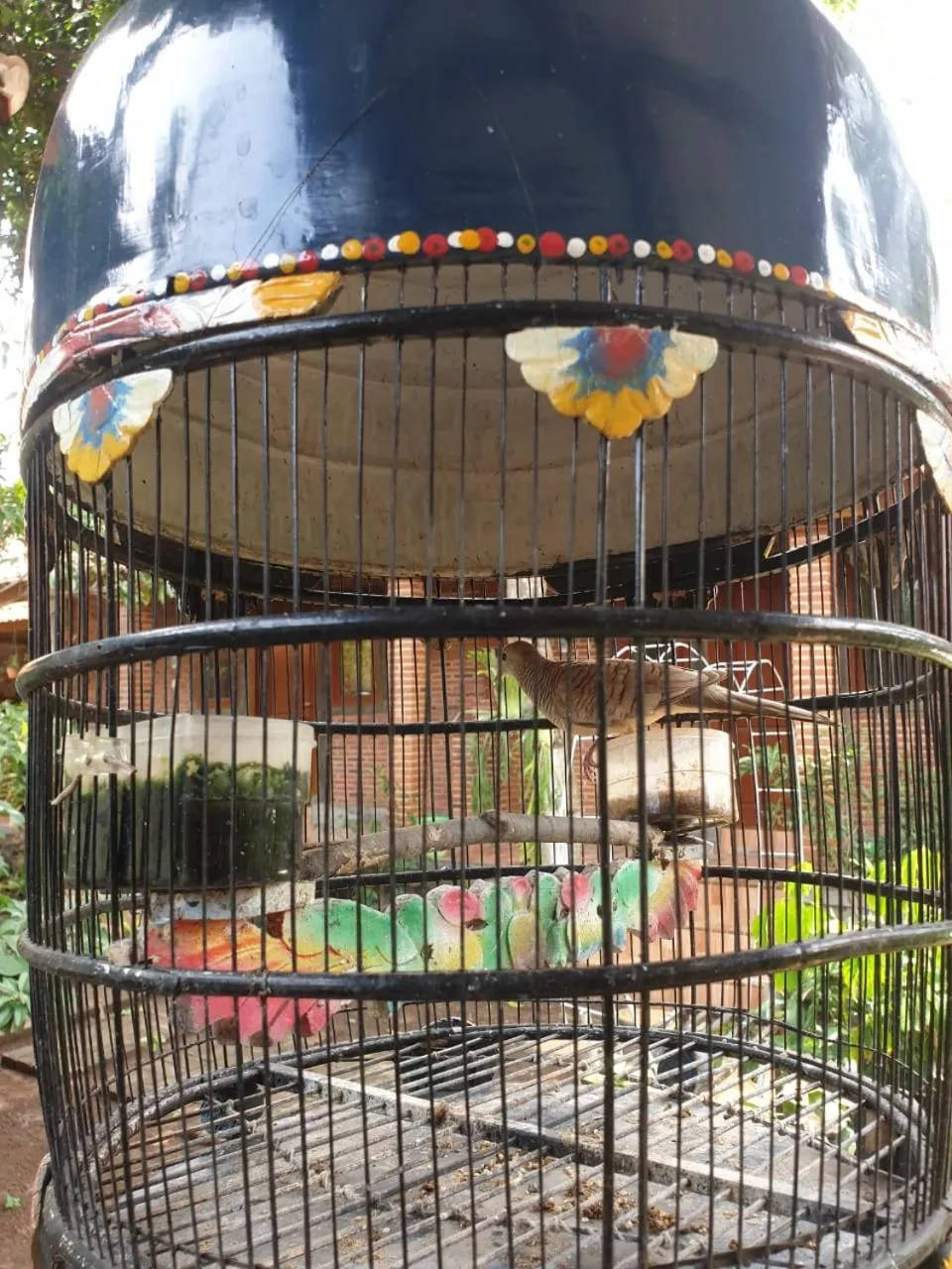 Balcony/Terrace in Nita's Homestay Banyuwangi