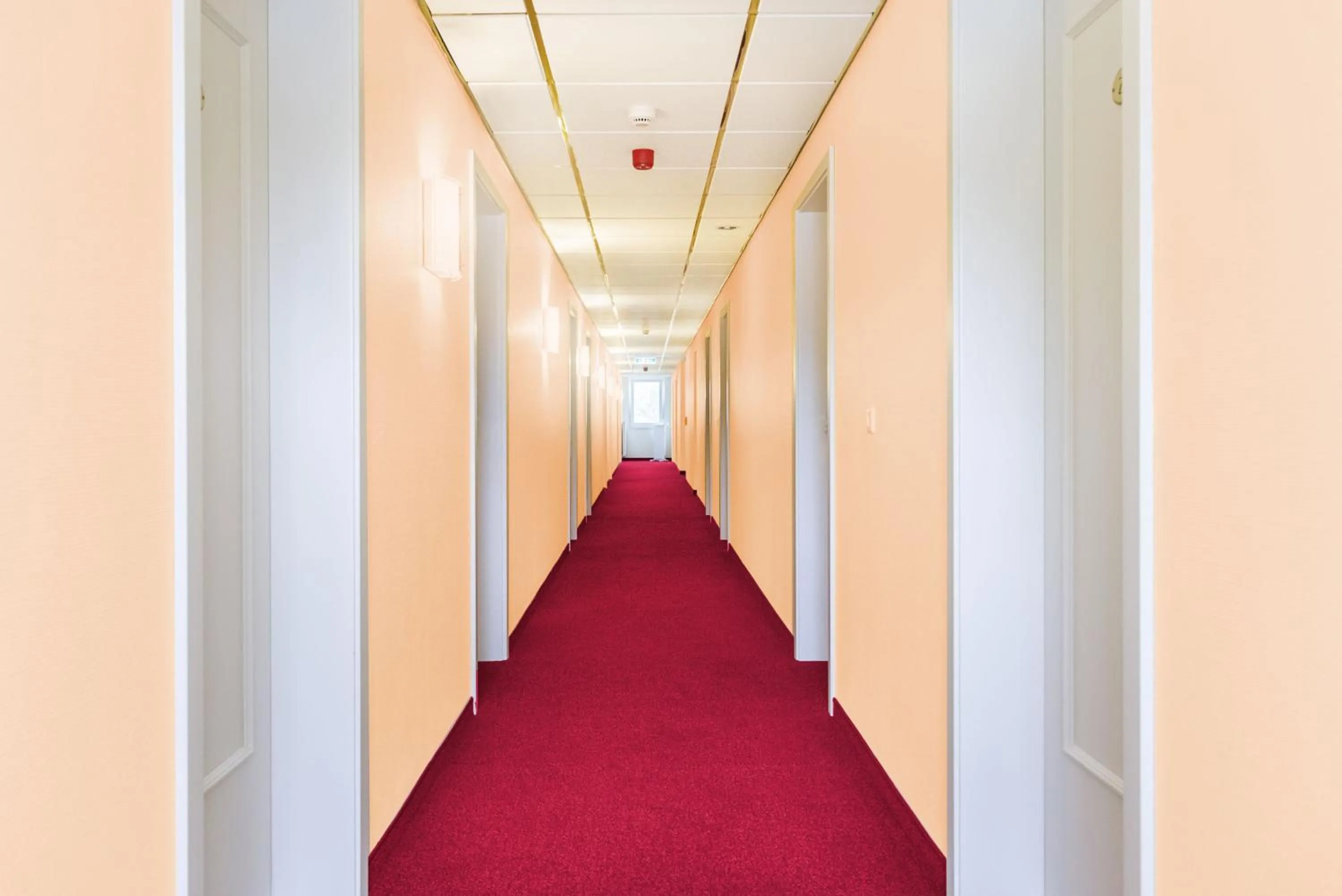 Area and facilities in Hotel Münkel