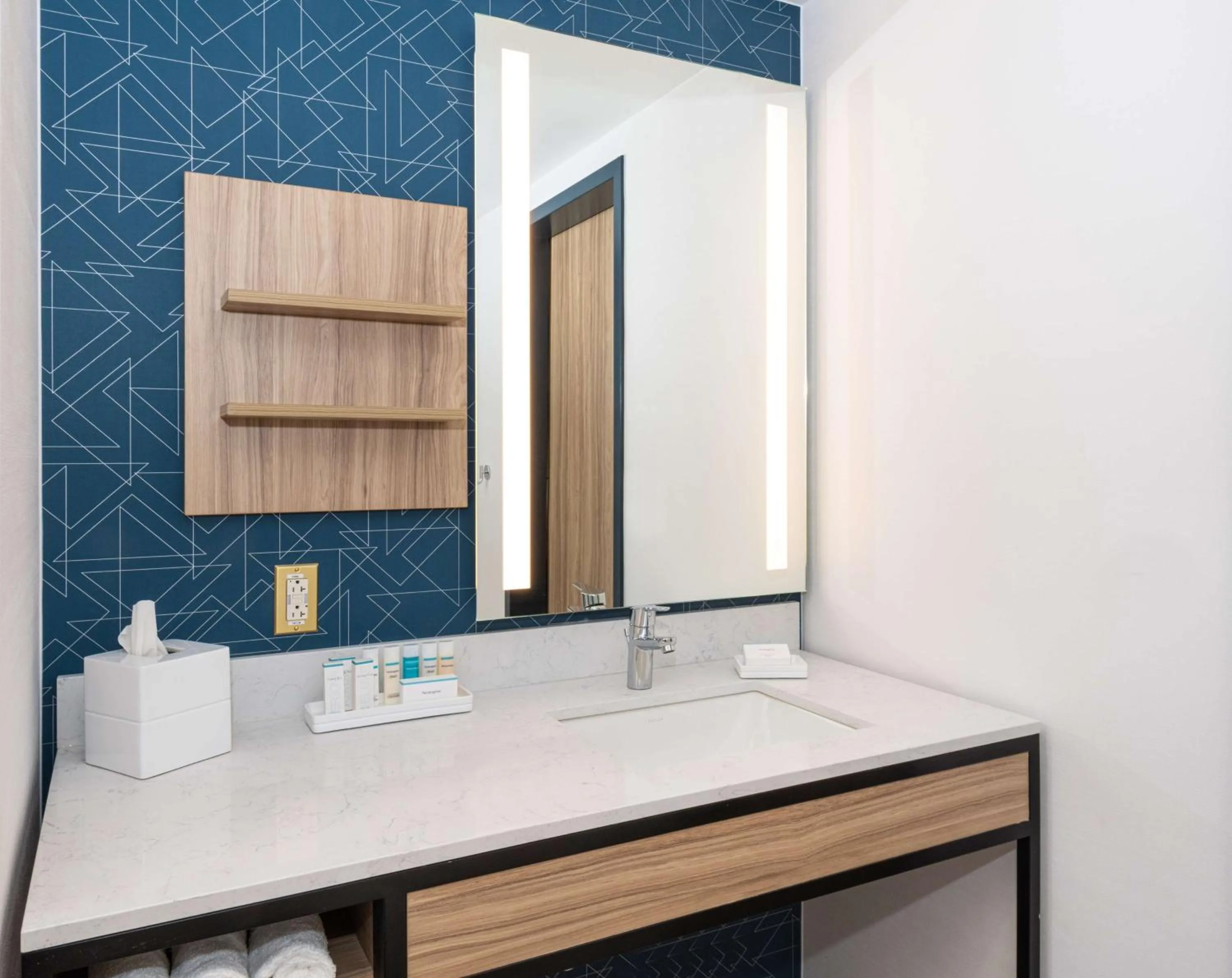 Bathroom in Hilton Garden Inn Flint Downtown