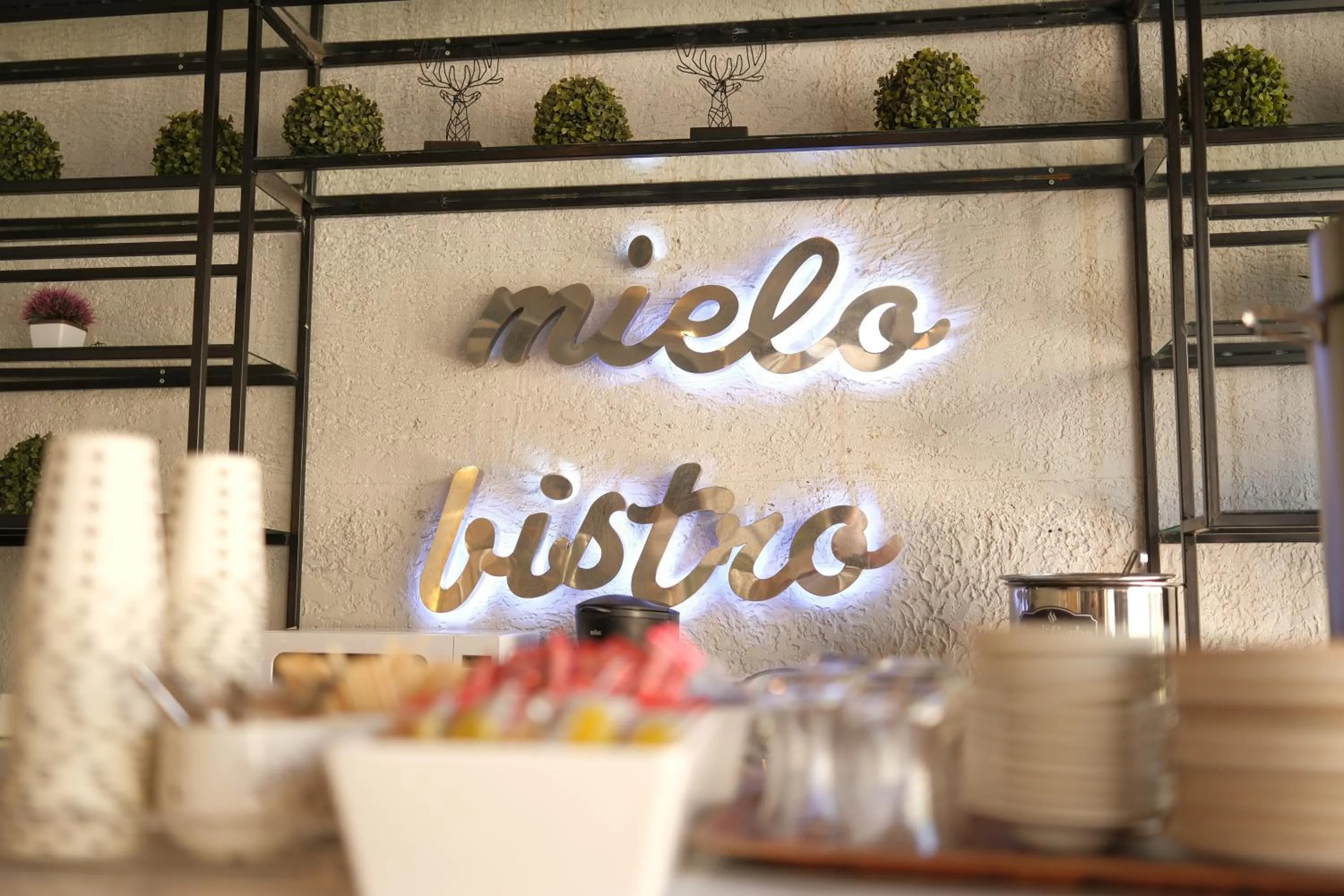 Food and drinks in Mielo Lara Hotel
