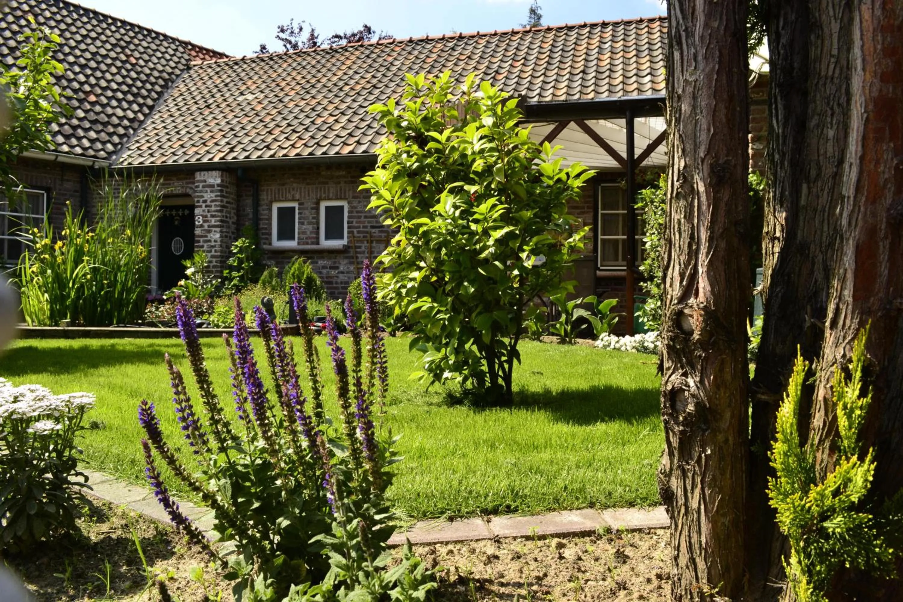 Garden view, Property Building in Pension Neske