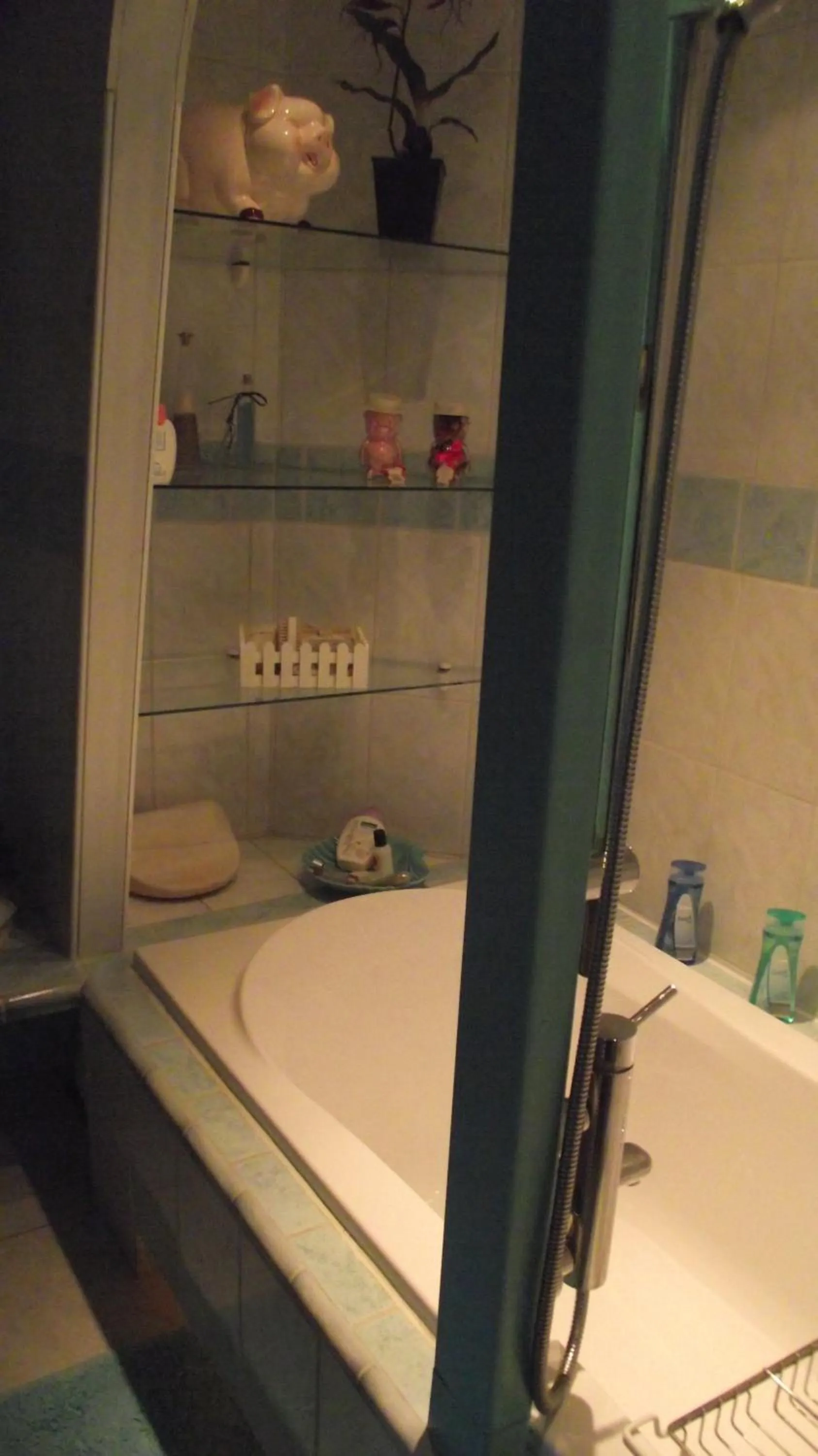 Decorative detail, Bathroom in Pension Neske