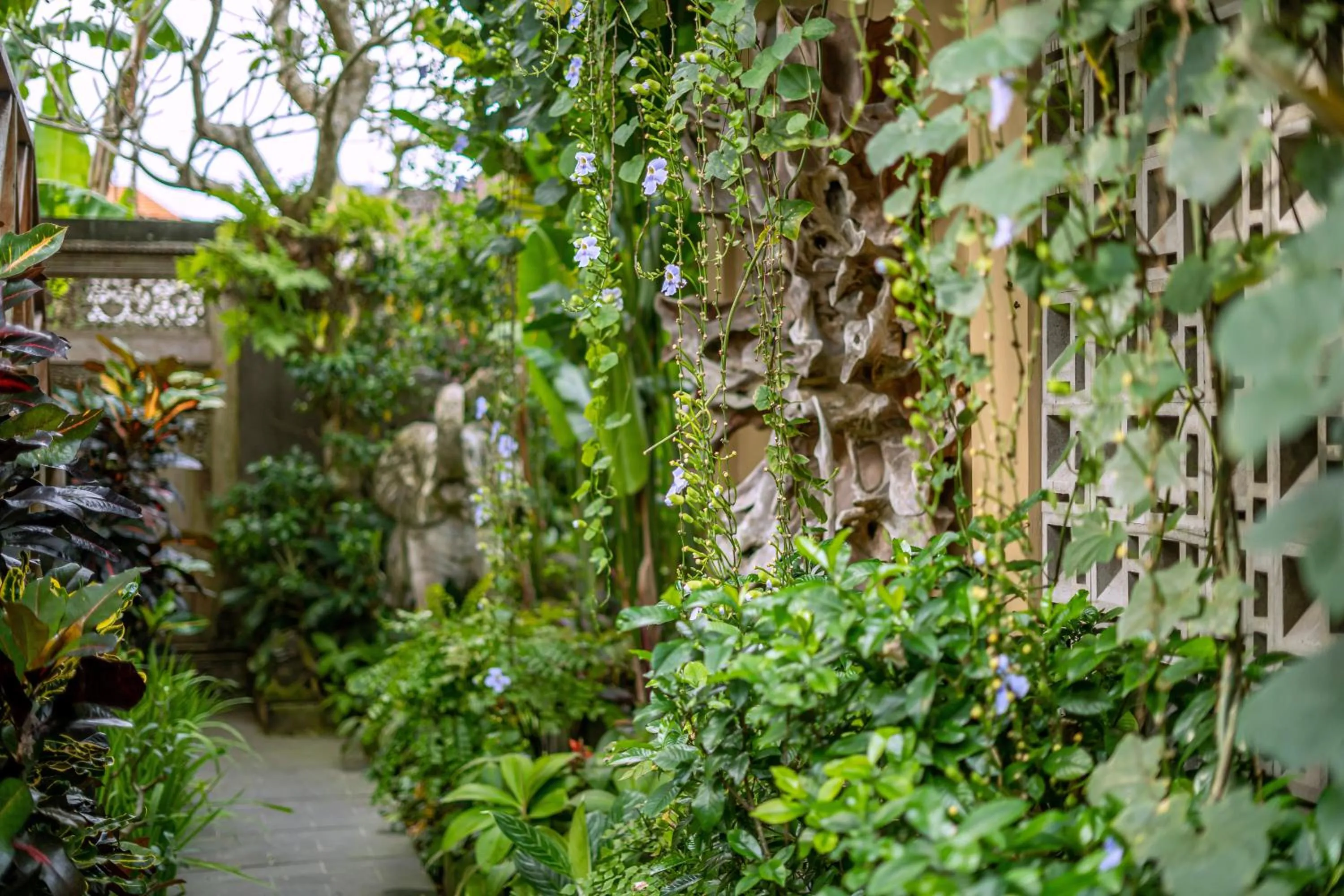 Garden in Merak Village by Prasi