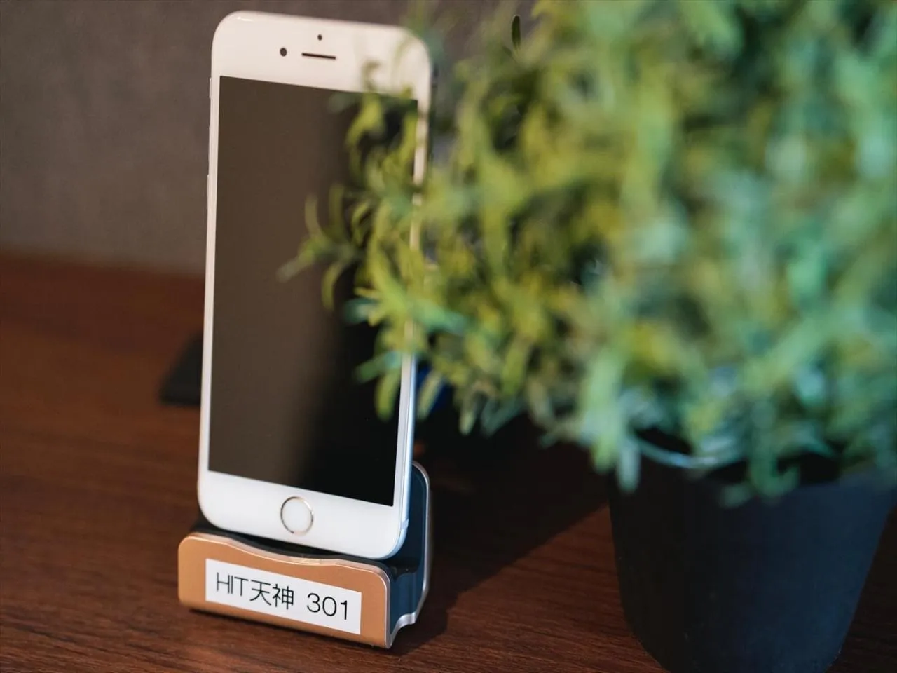 Decorative detail in HIT Tenjin