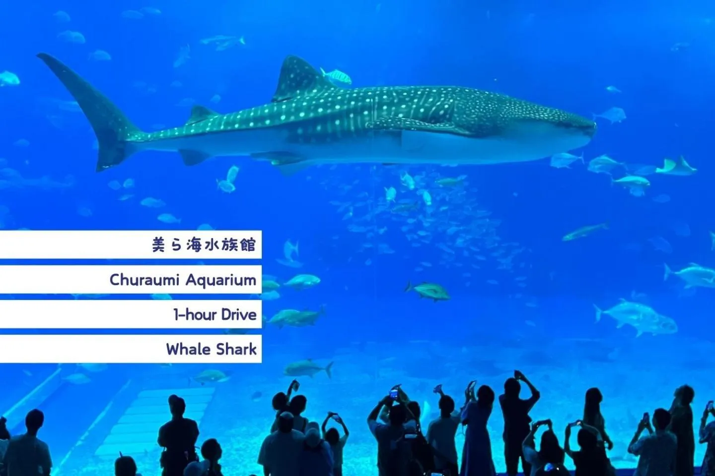 Nearby landmark in OKINAWA BEACH HOUSE Golden Drop S