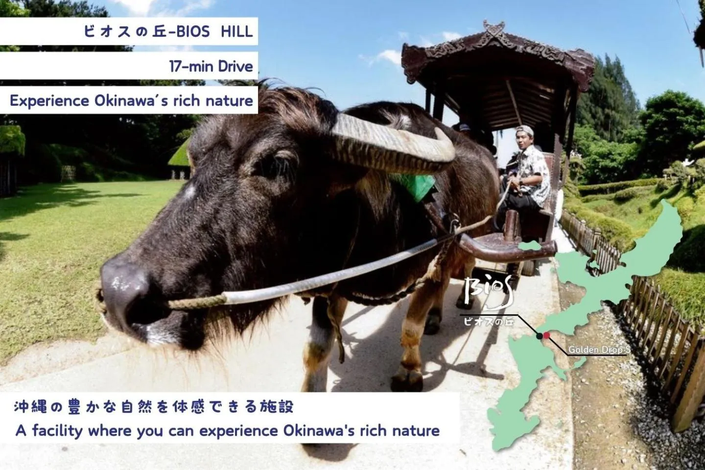 Nearby landmark in OKINAWA BEACH HOUSE Golden Drop S