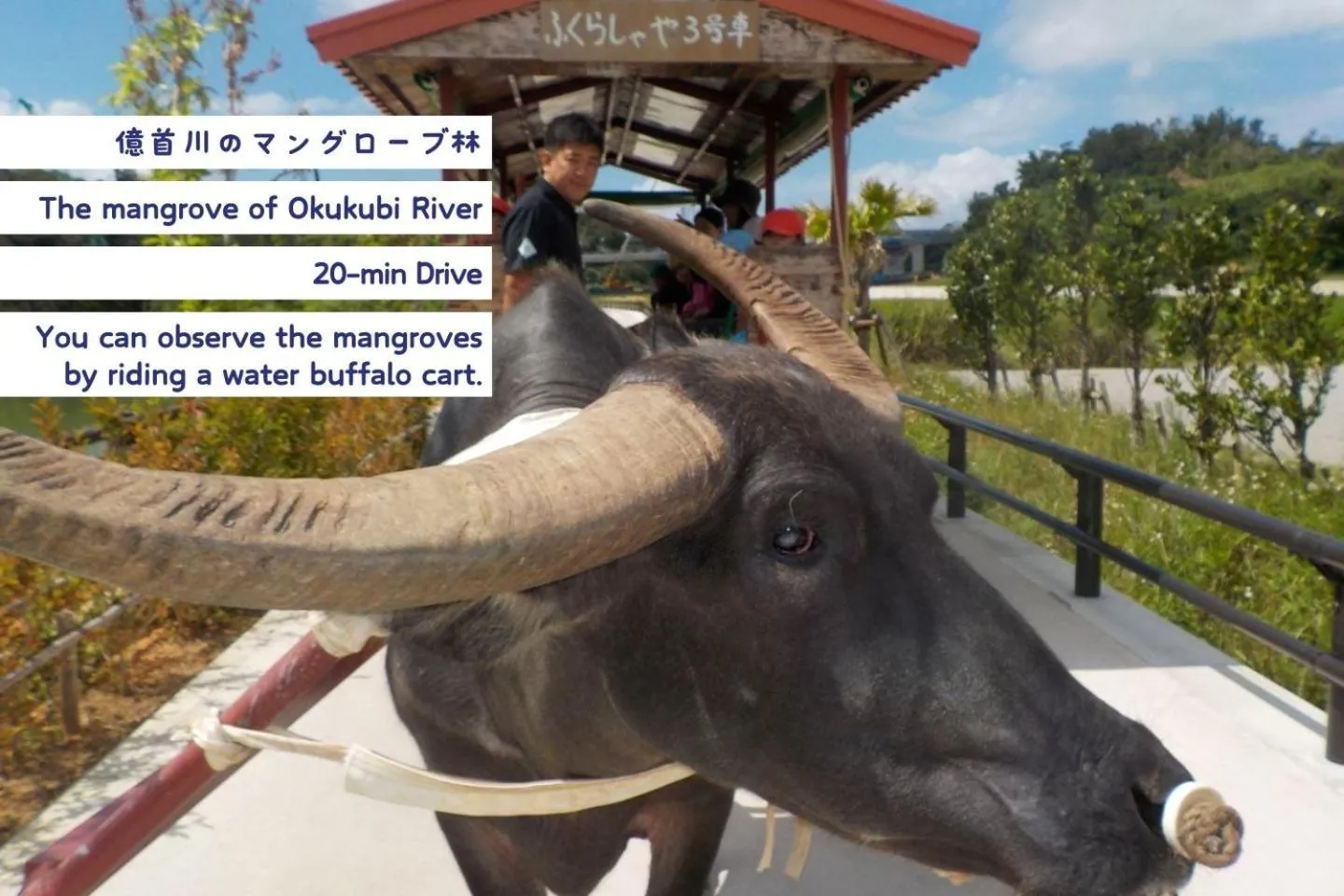 Nearby landmark in OKINAWA BEACH HOUSE Golden Drop S