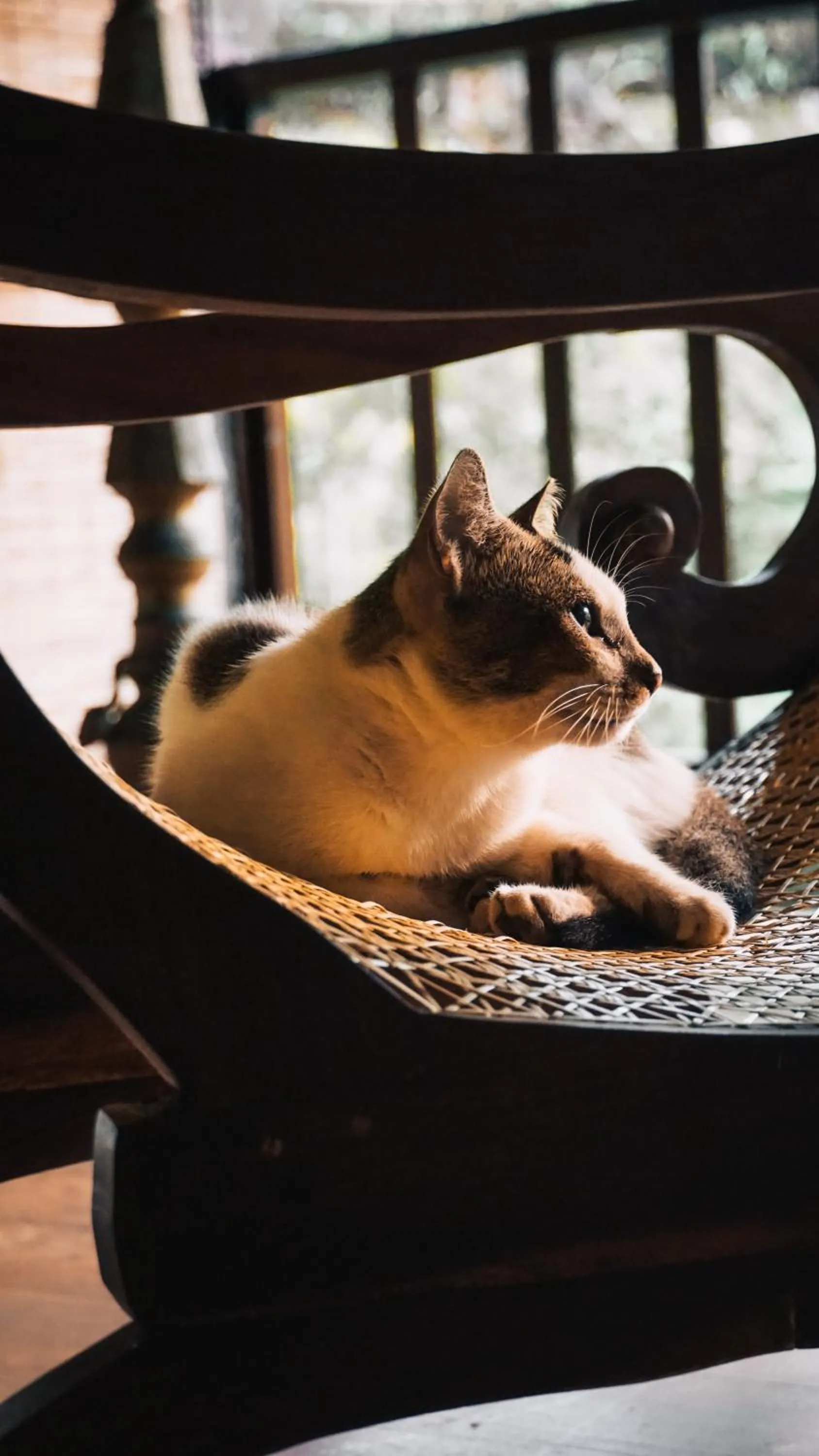 Dunes Unawatuna Hotel