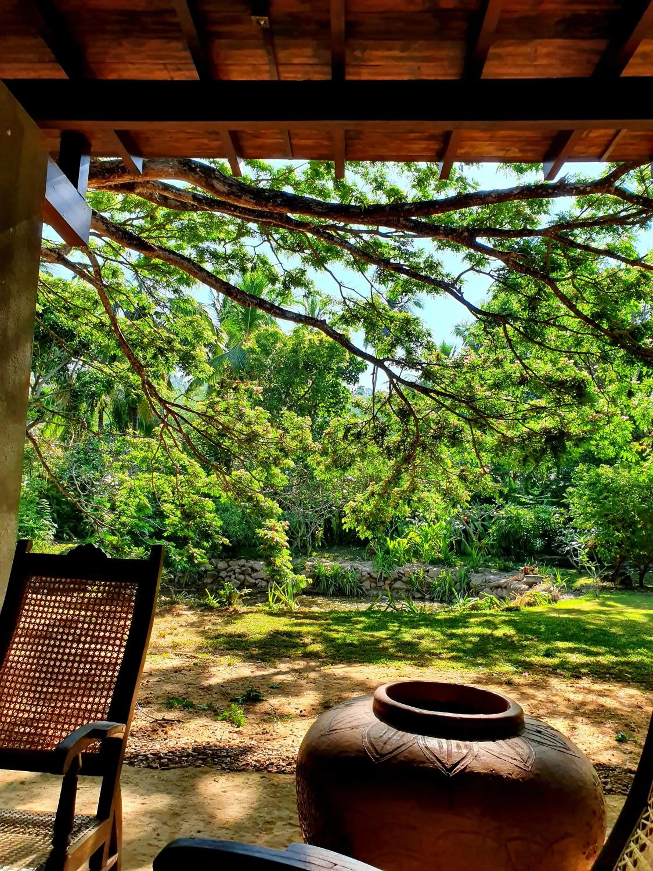 Garden in Dunes Unawatuna Hotel