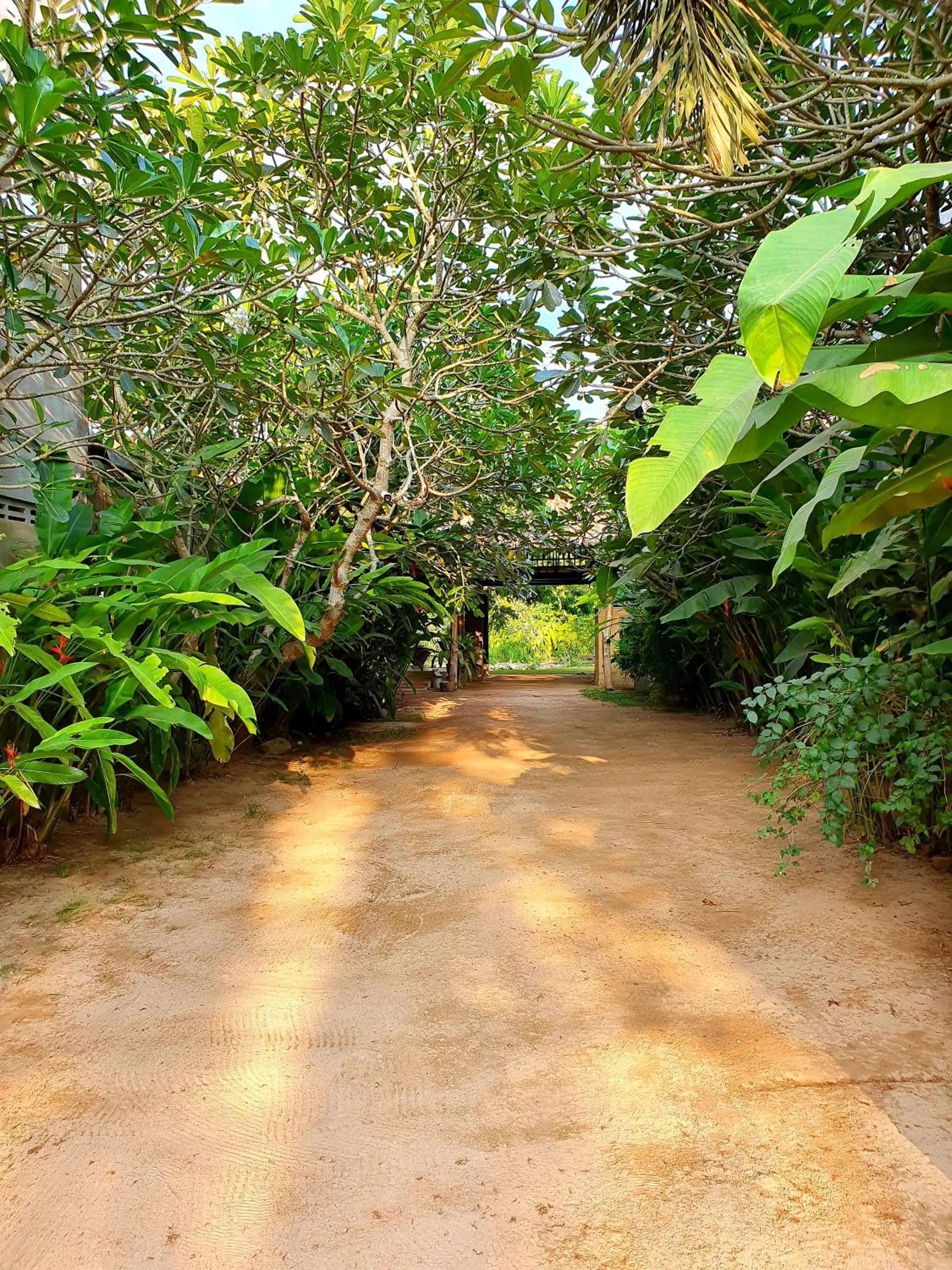 Garden in Dunes Unawatuna Hotel
