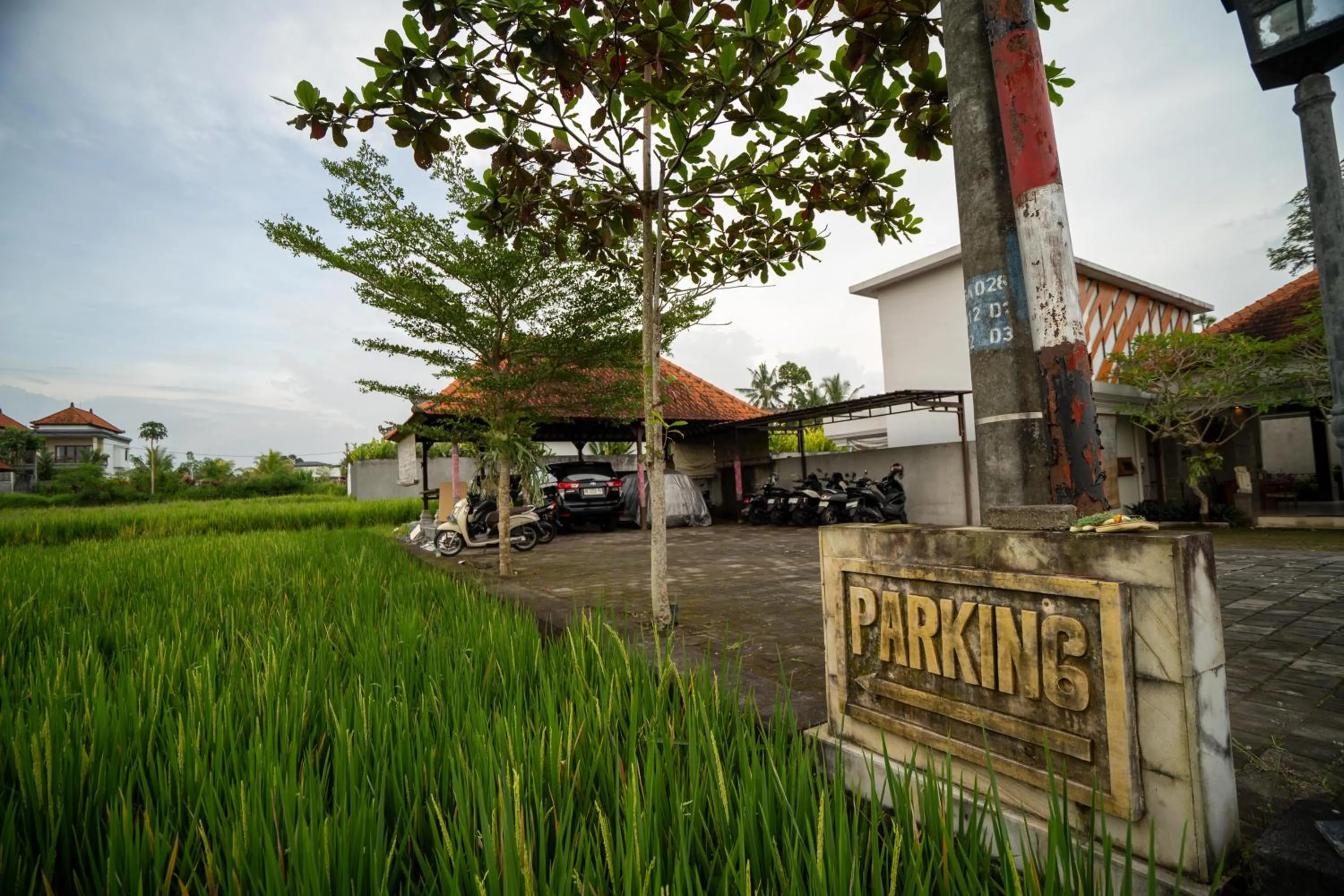 Day in Arta Private Villa