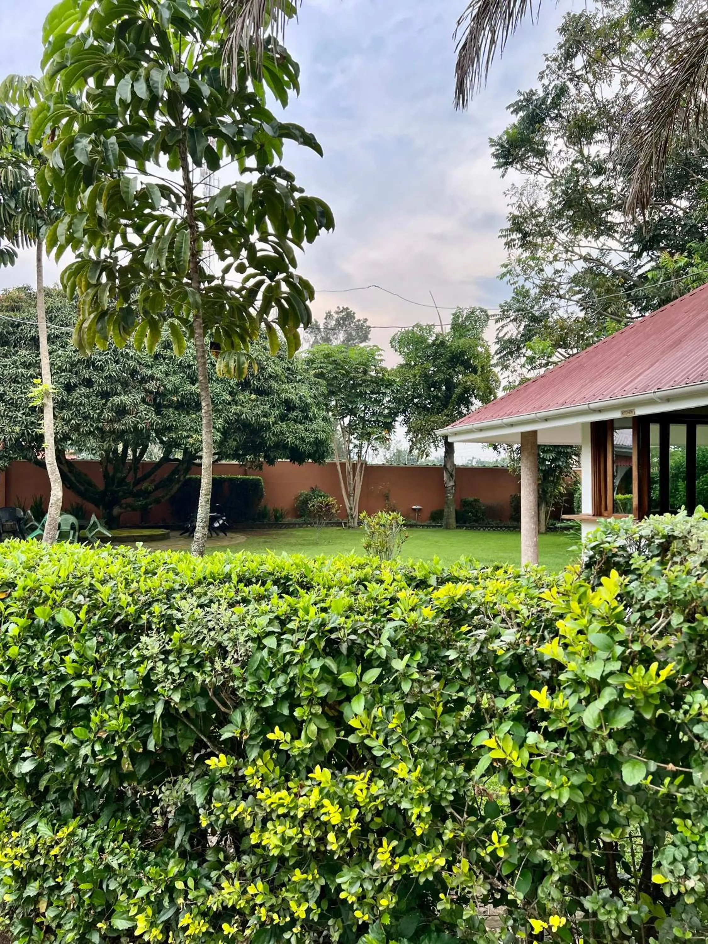 Natural landscape in Sunset Hotel Entebbe
