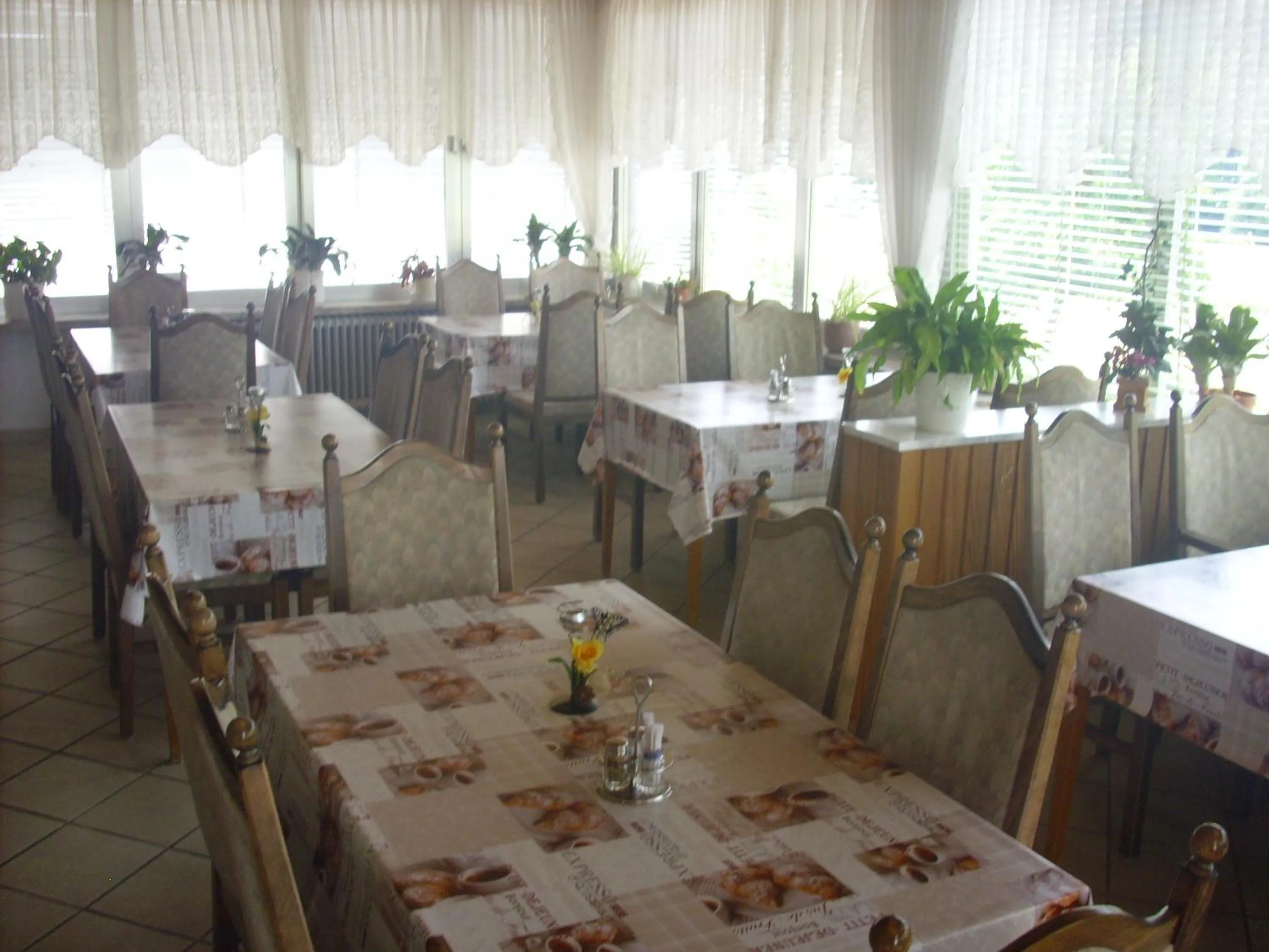 Area and facilities in Hotel Europa