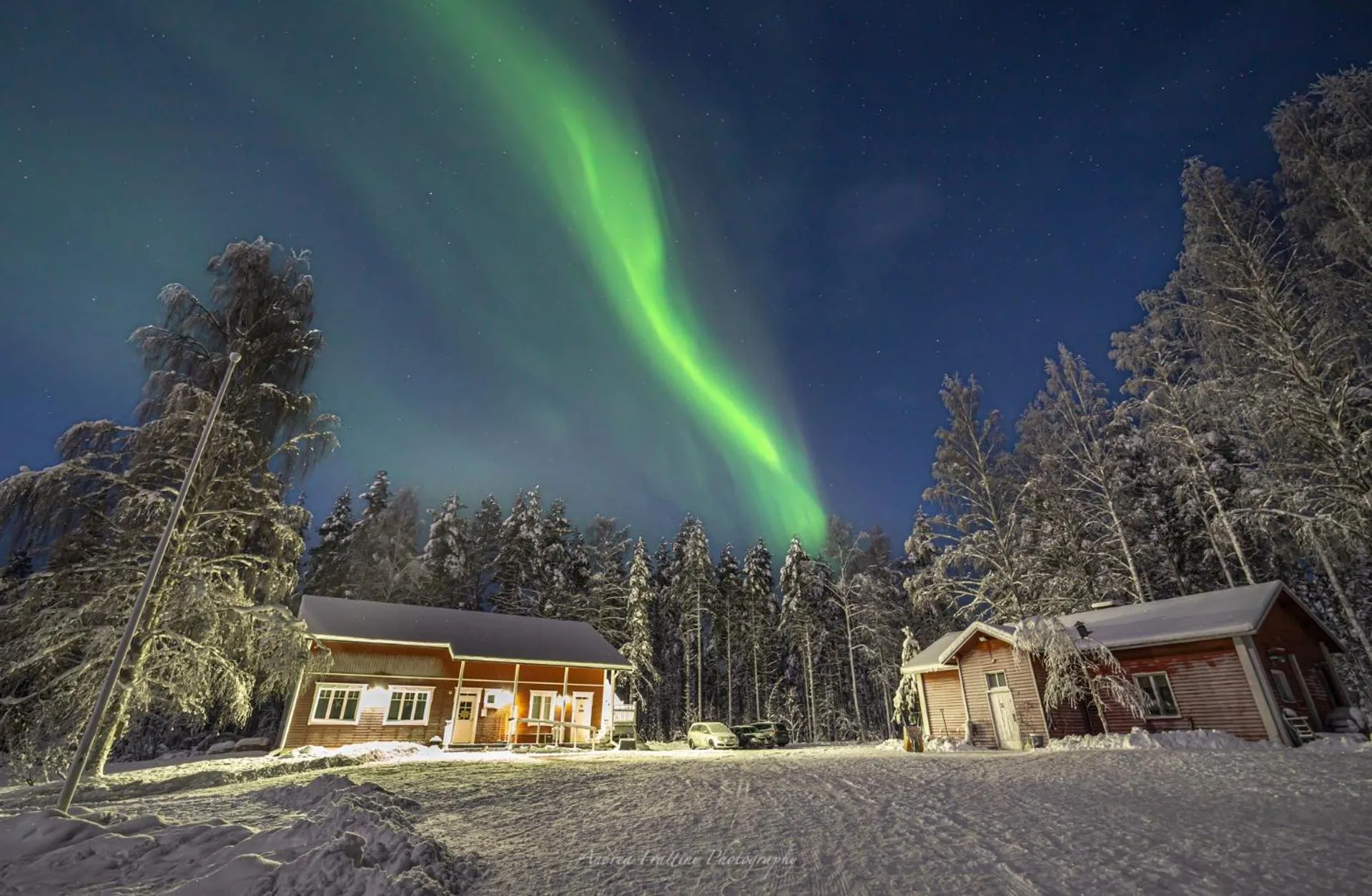 Old Pine Husky Lodge