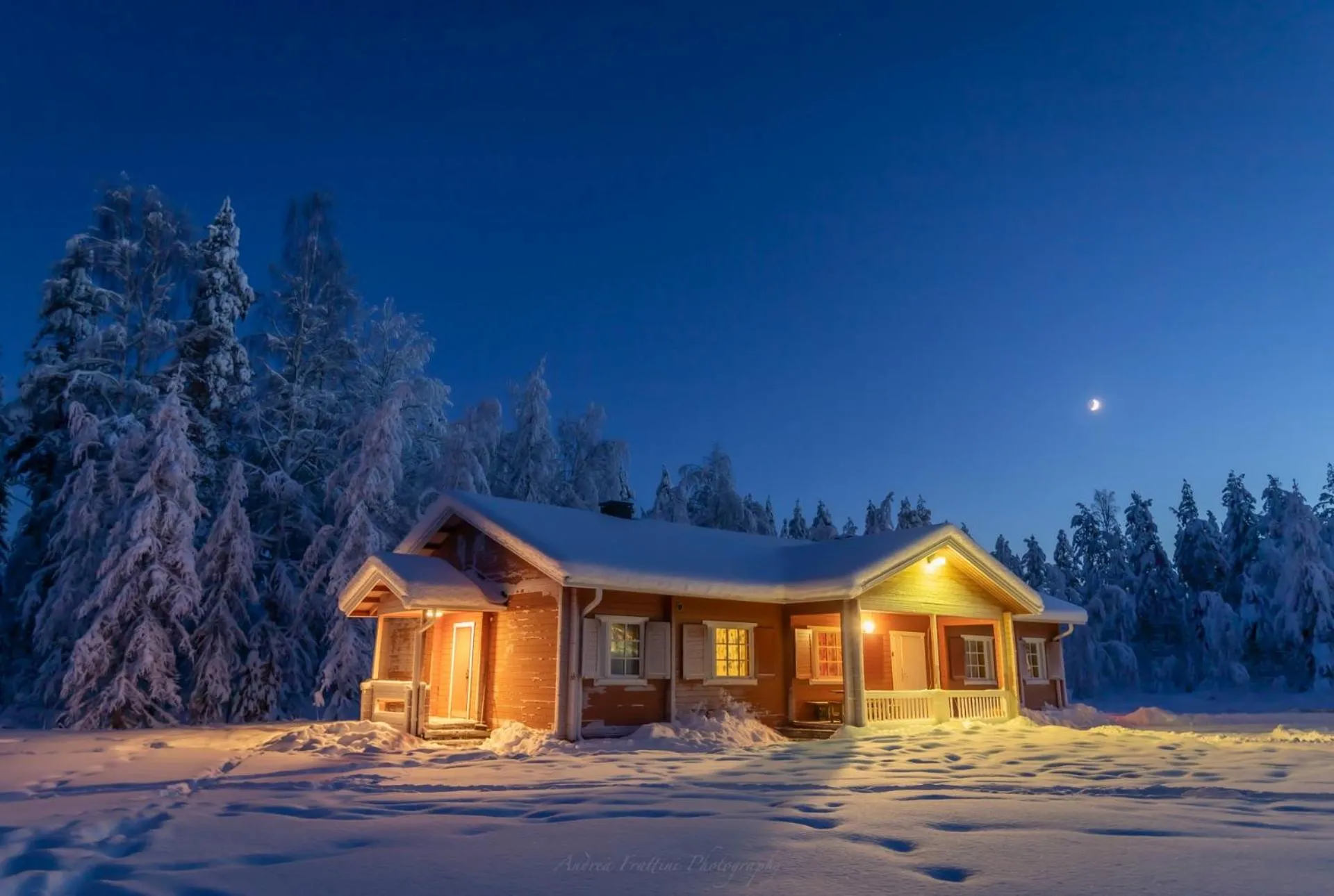 Old Pine Husky Lodge