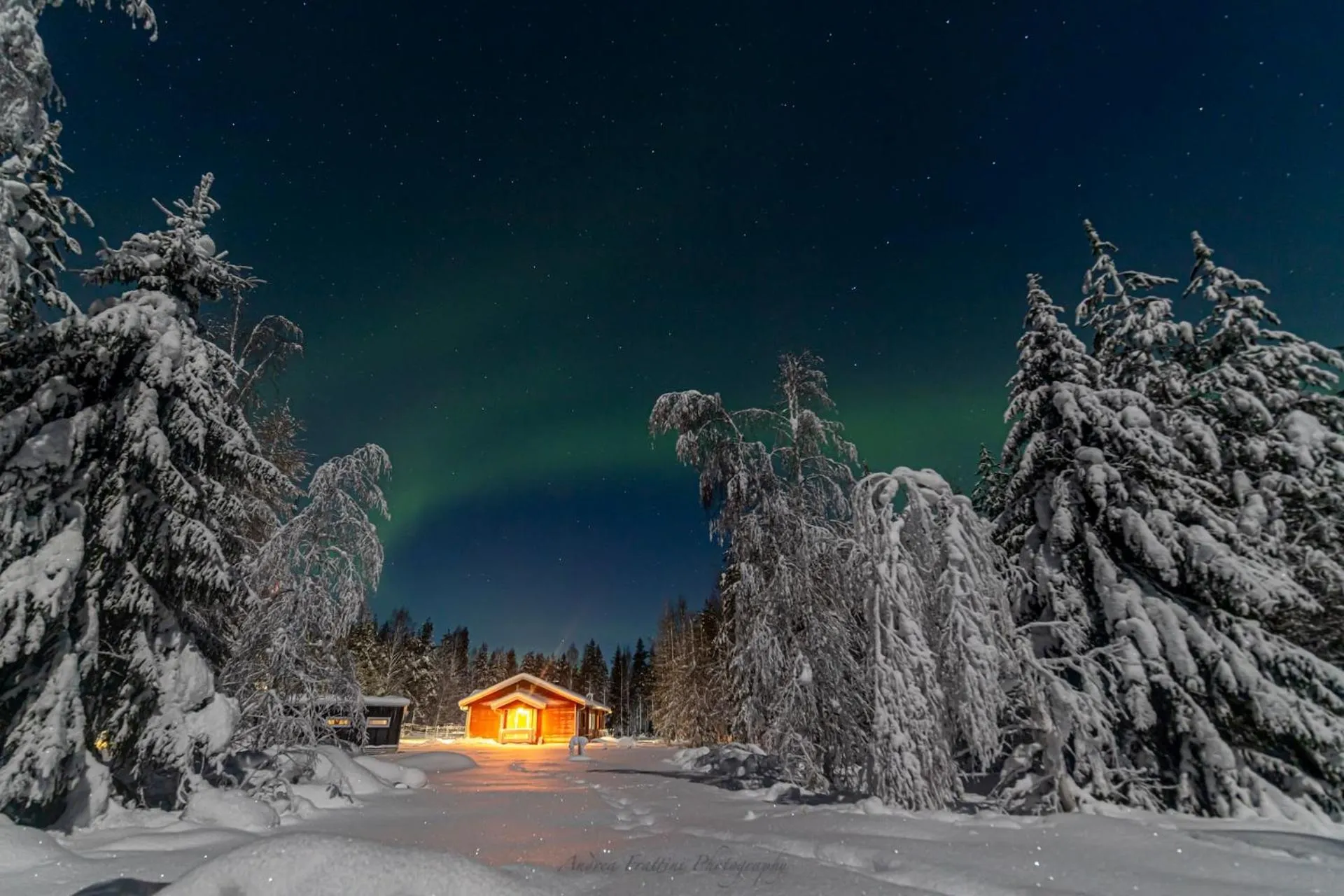 Old Pine Husky Lodge