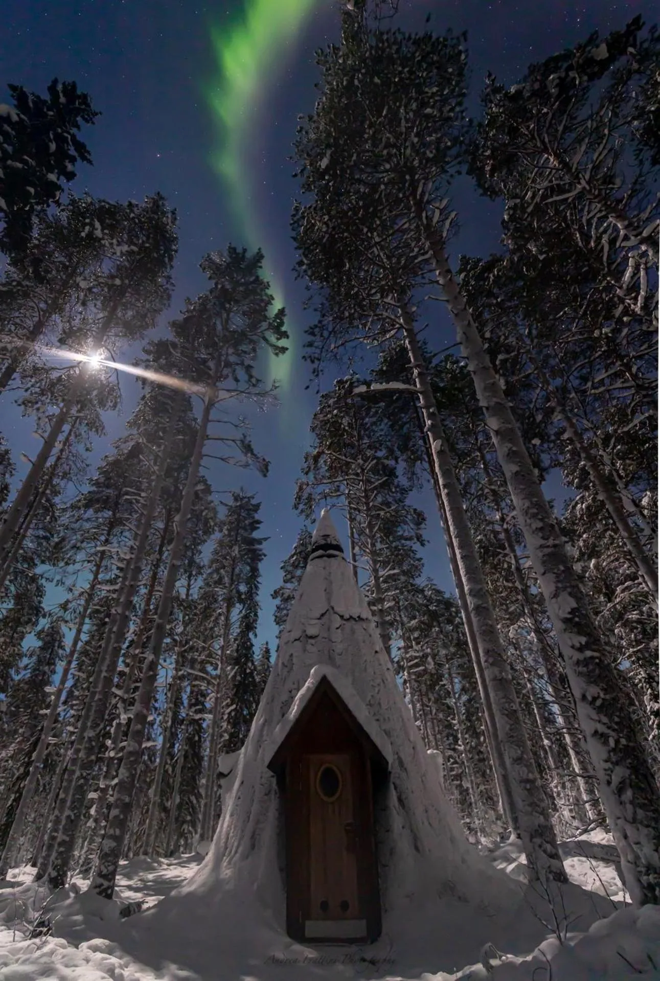 Old Pine Husky Lodge