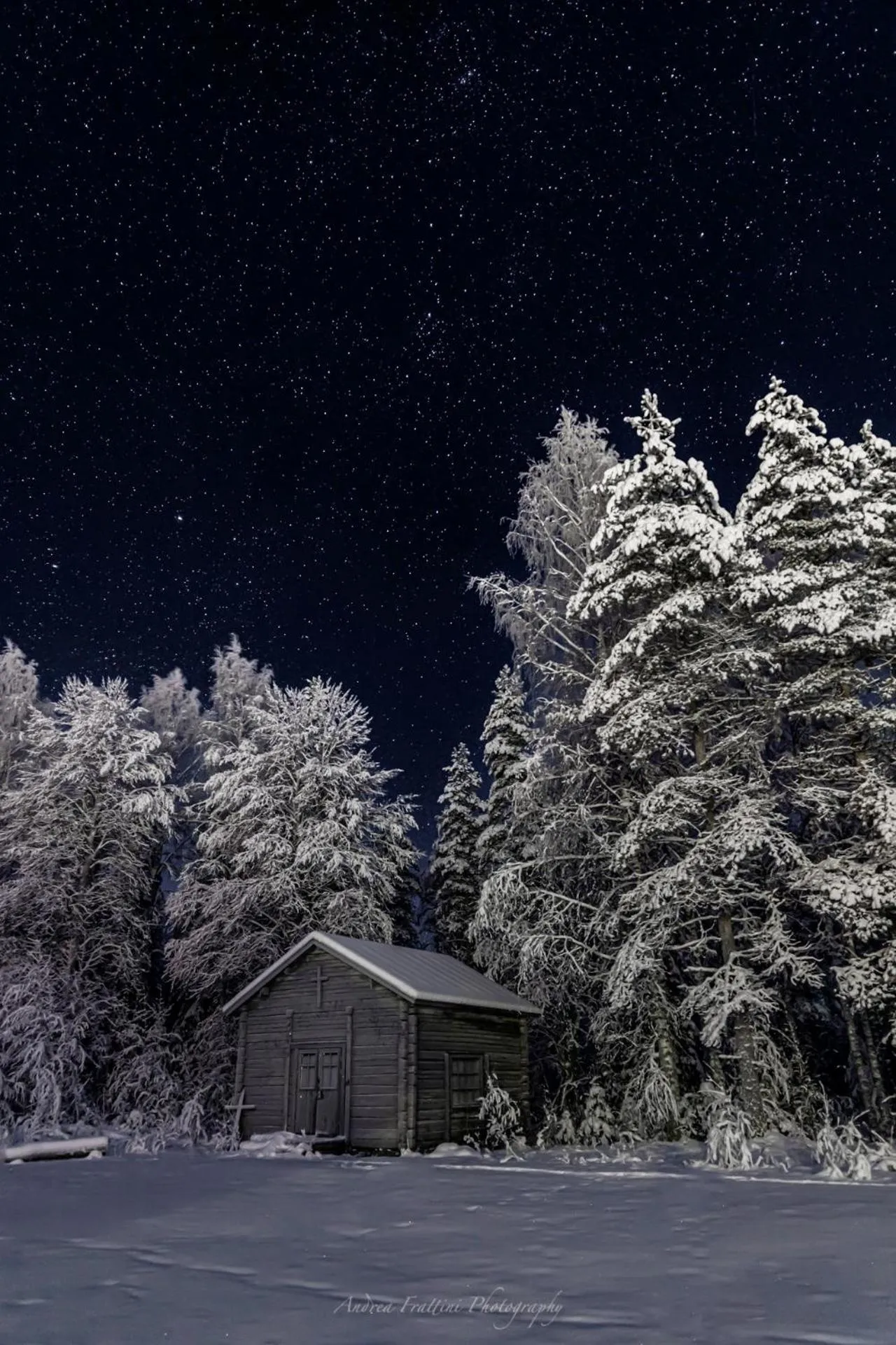 Old Pine Husky Lodge
