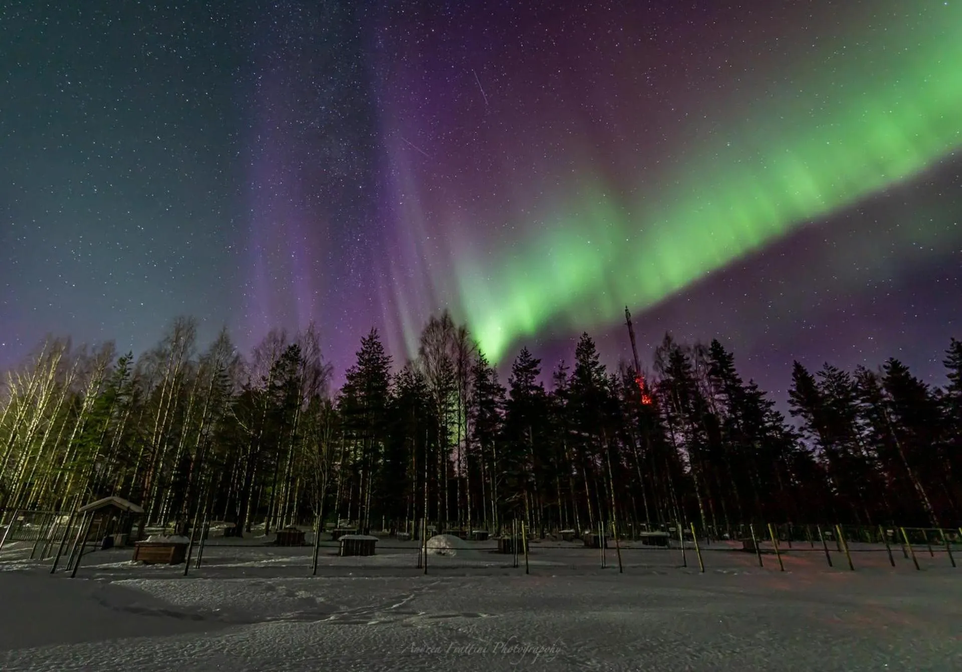 Old Pine Husky Lodge