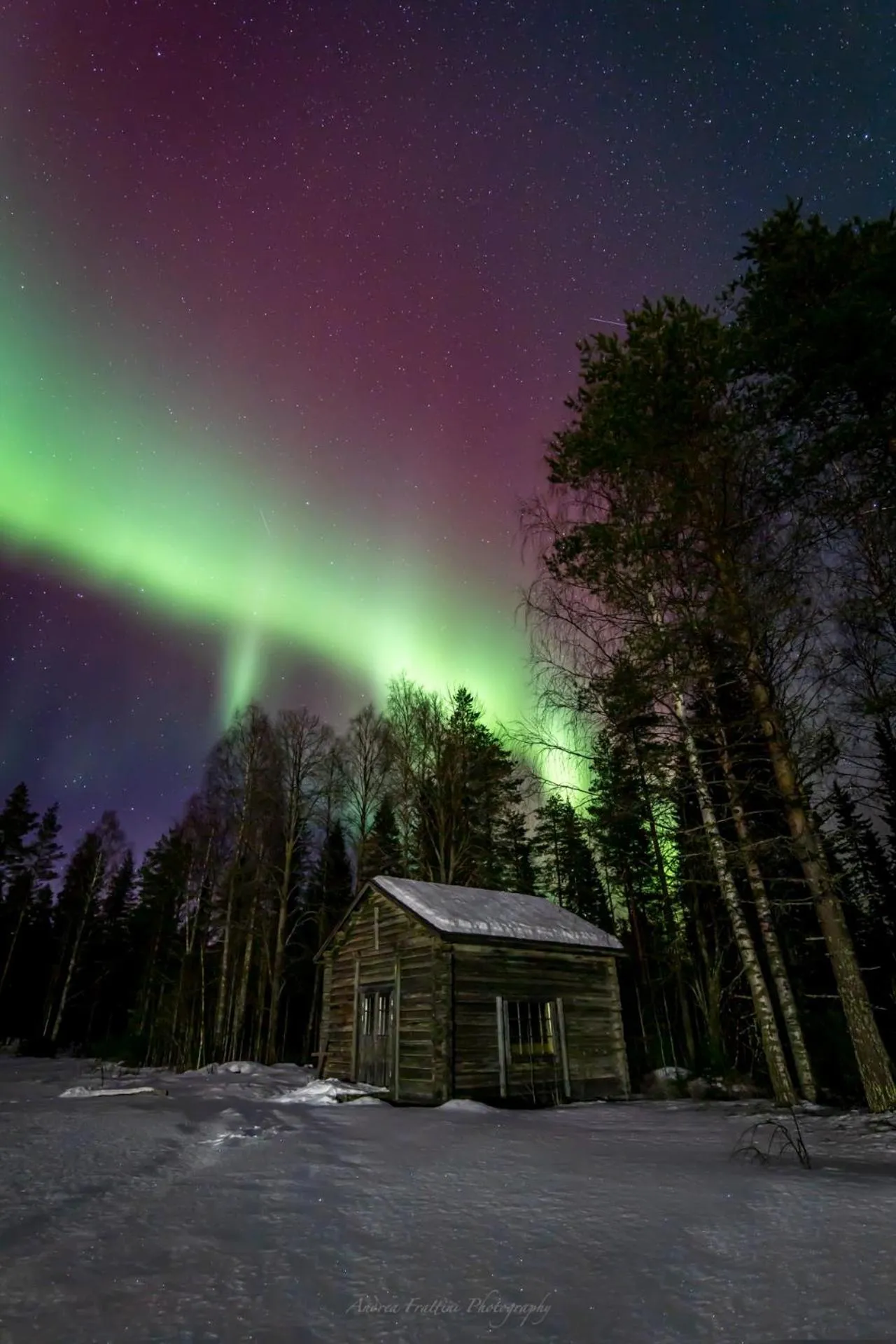 Old Pine Husky Lodge