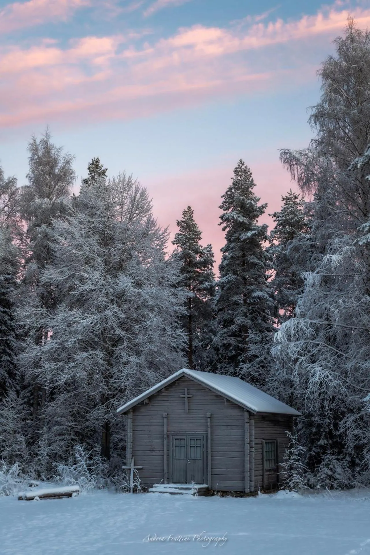 Old Pine Husky Lodge