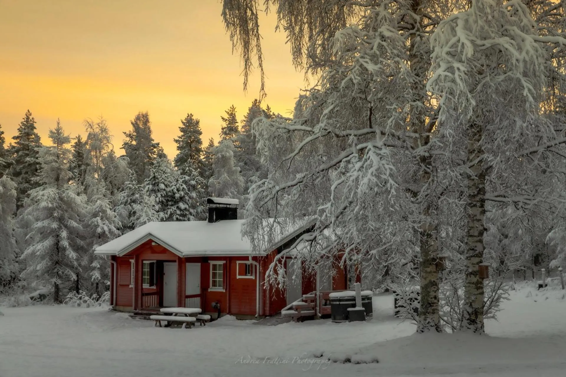 Old Pine Husky Lodge