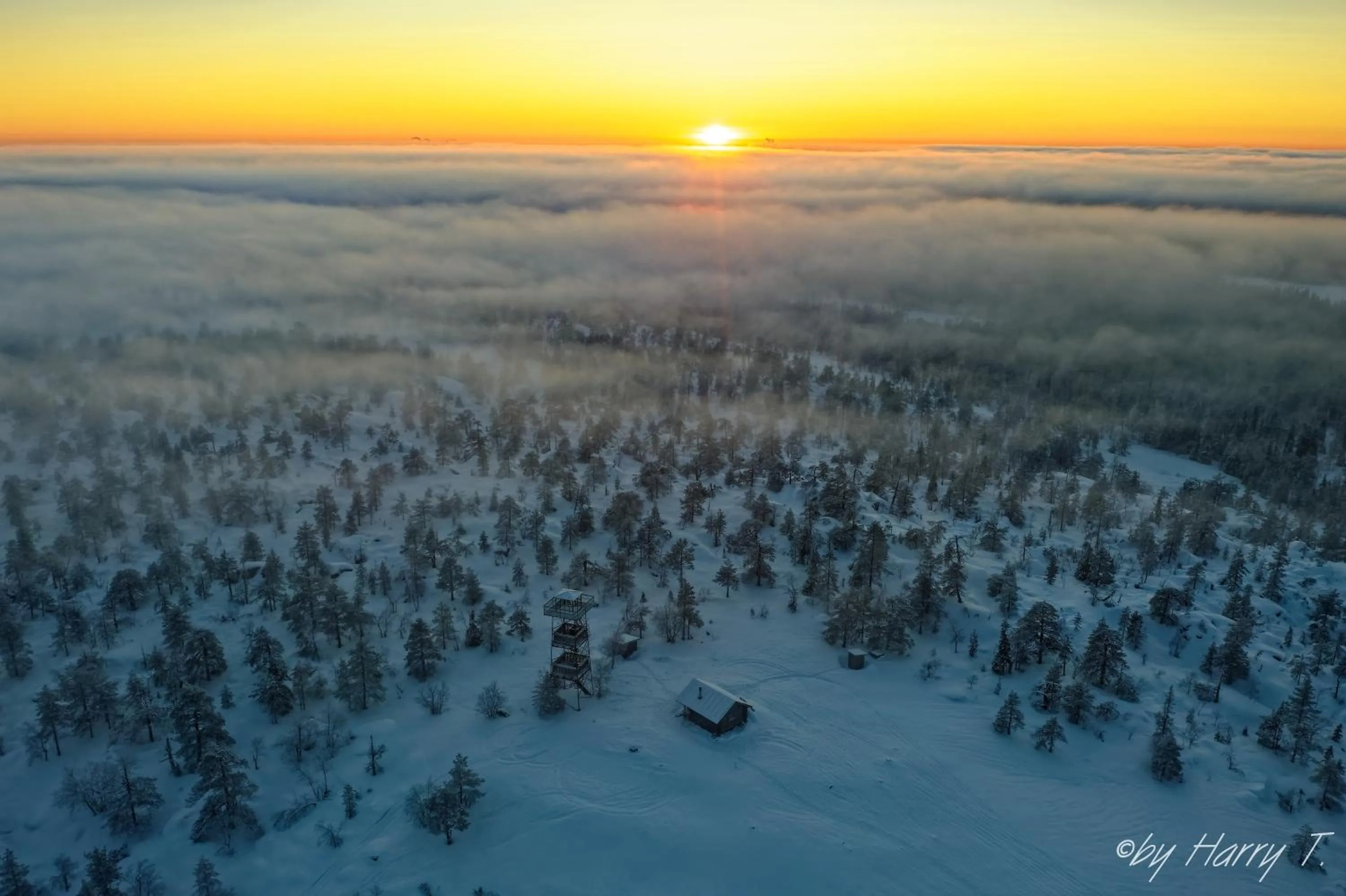 Natural landscape in Old Pine Husky Lodge
