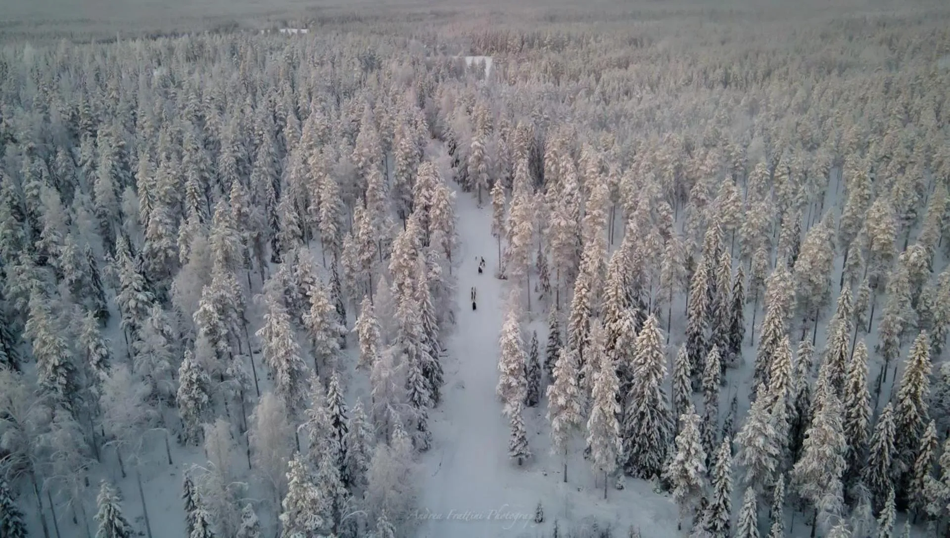 Old Pine Husky Lodge