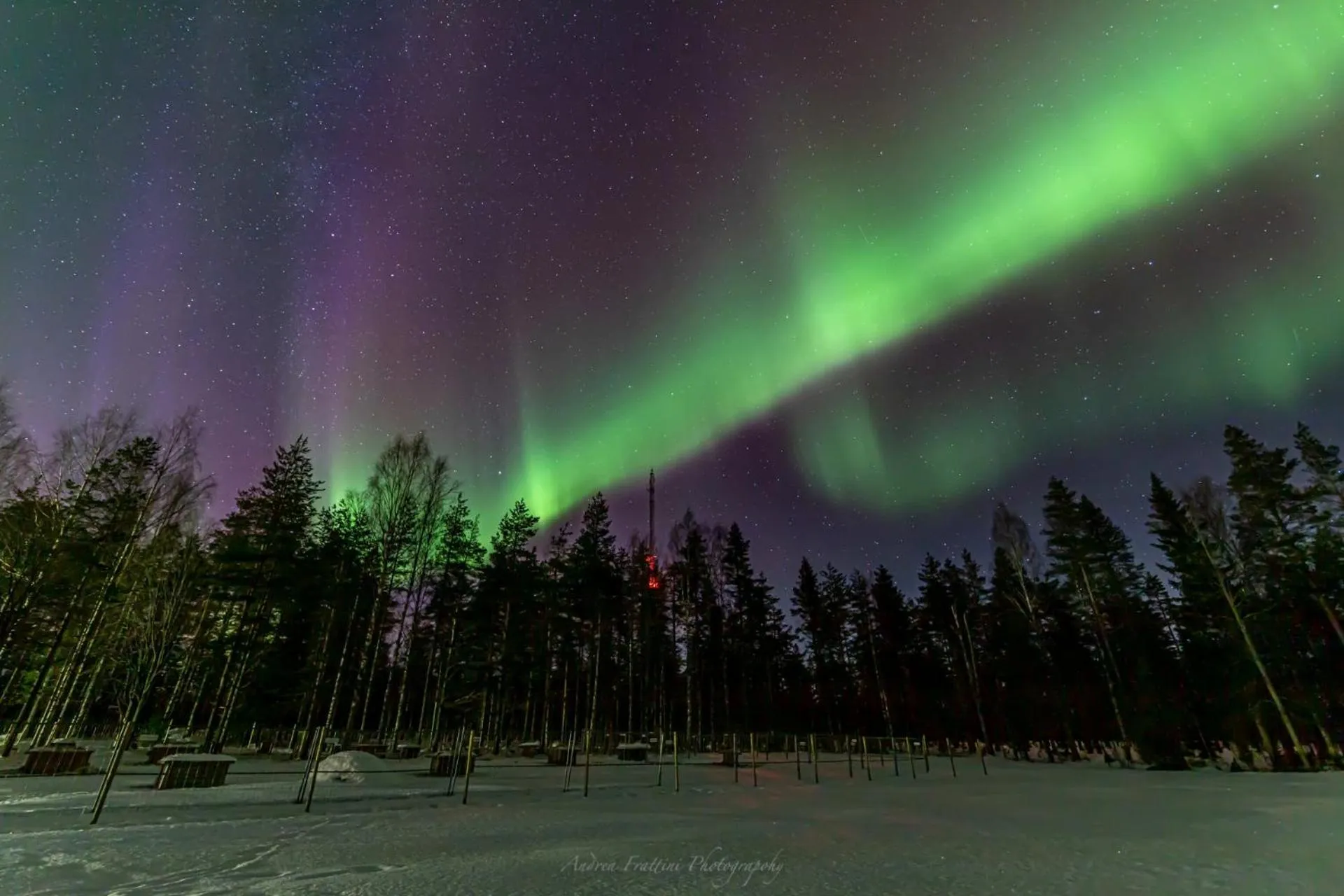Old Pine Husky Lodge