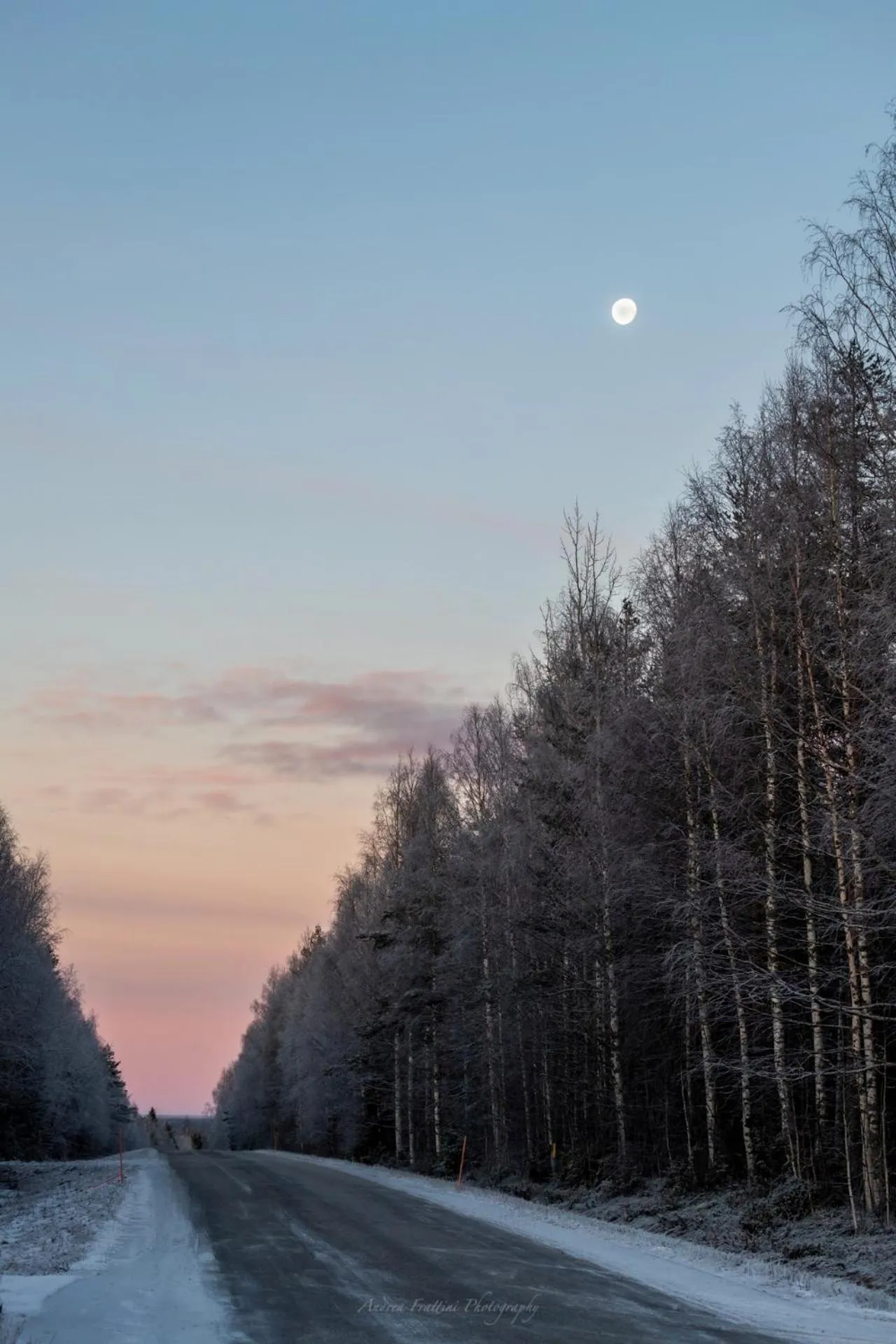 Old Pine Husky Lodge