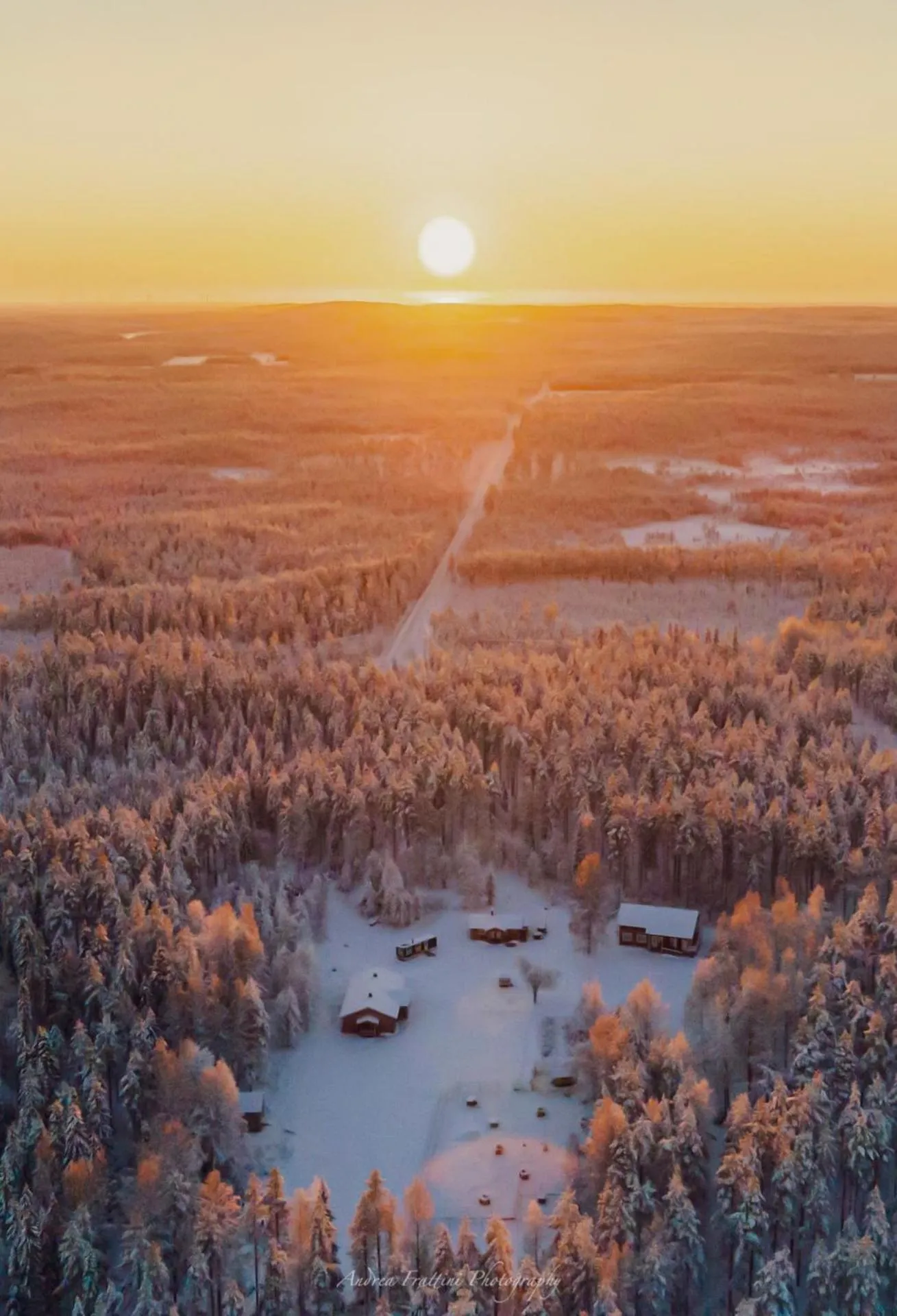 Old Pine Husky Lodge