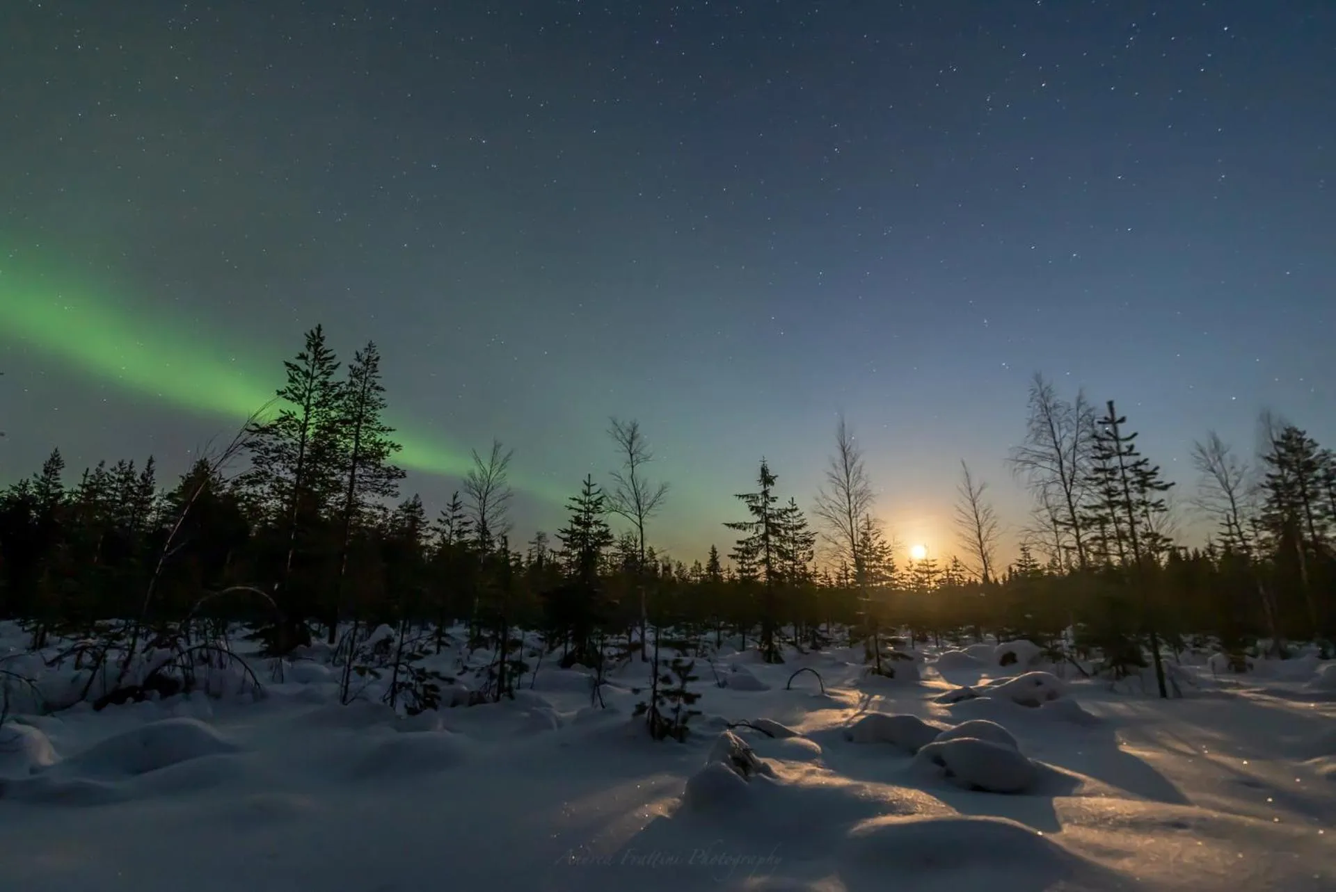Old Pine Husky Lodge