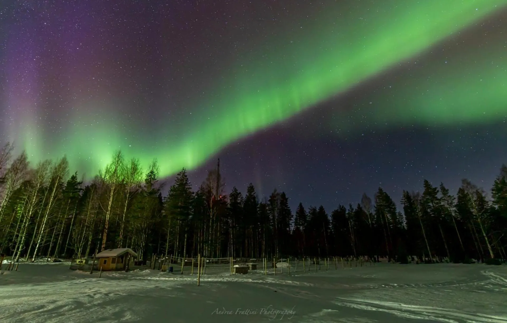 Old Pine Husky Lodge