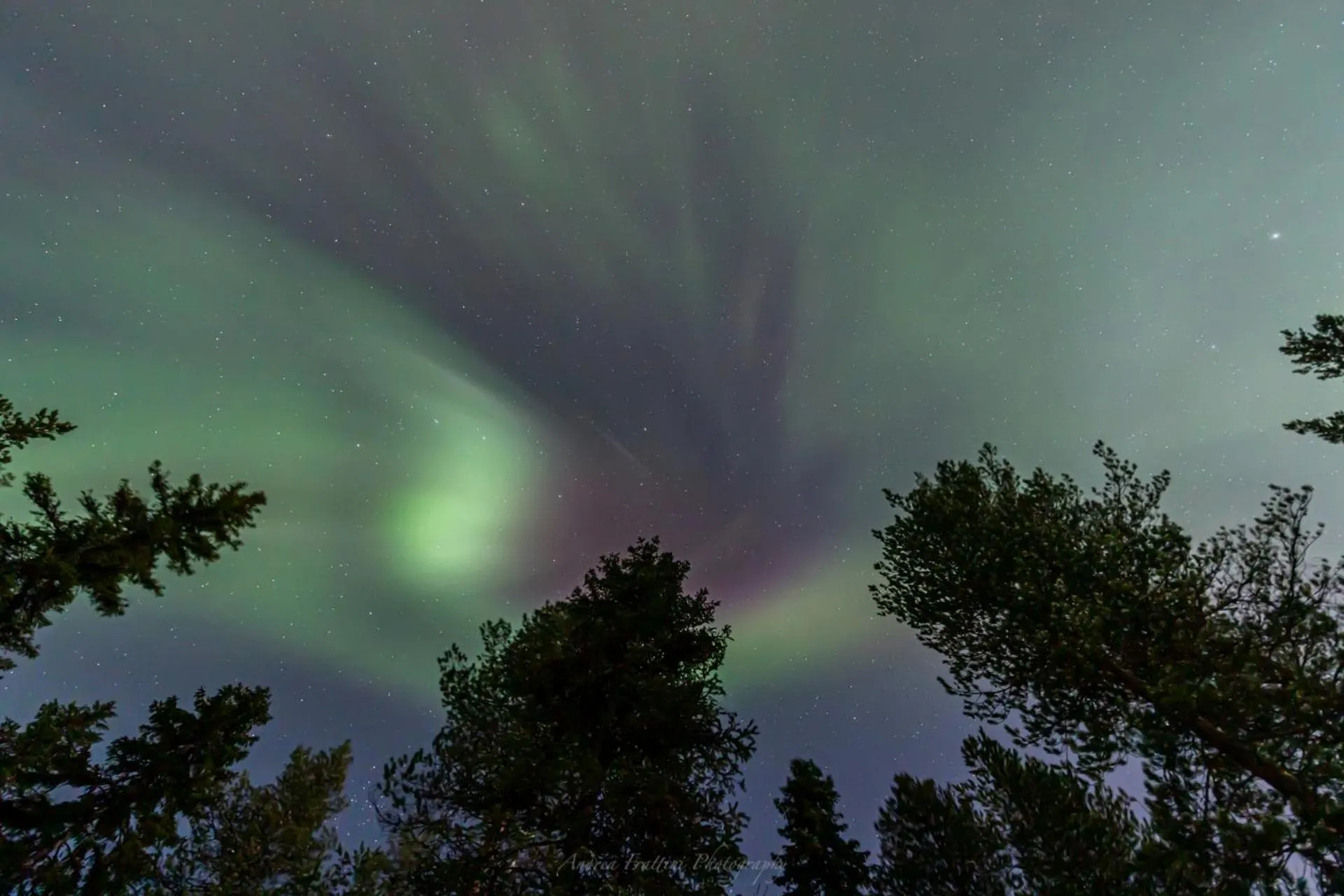 Old Pine Husky Lodge