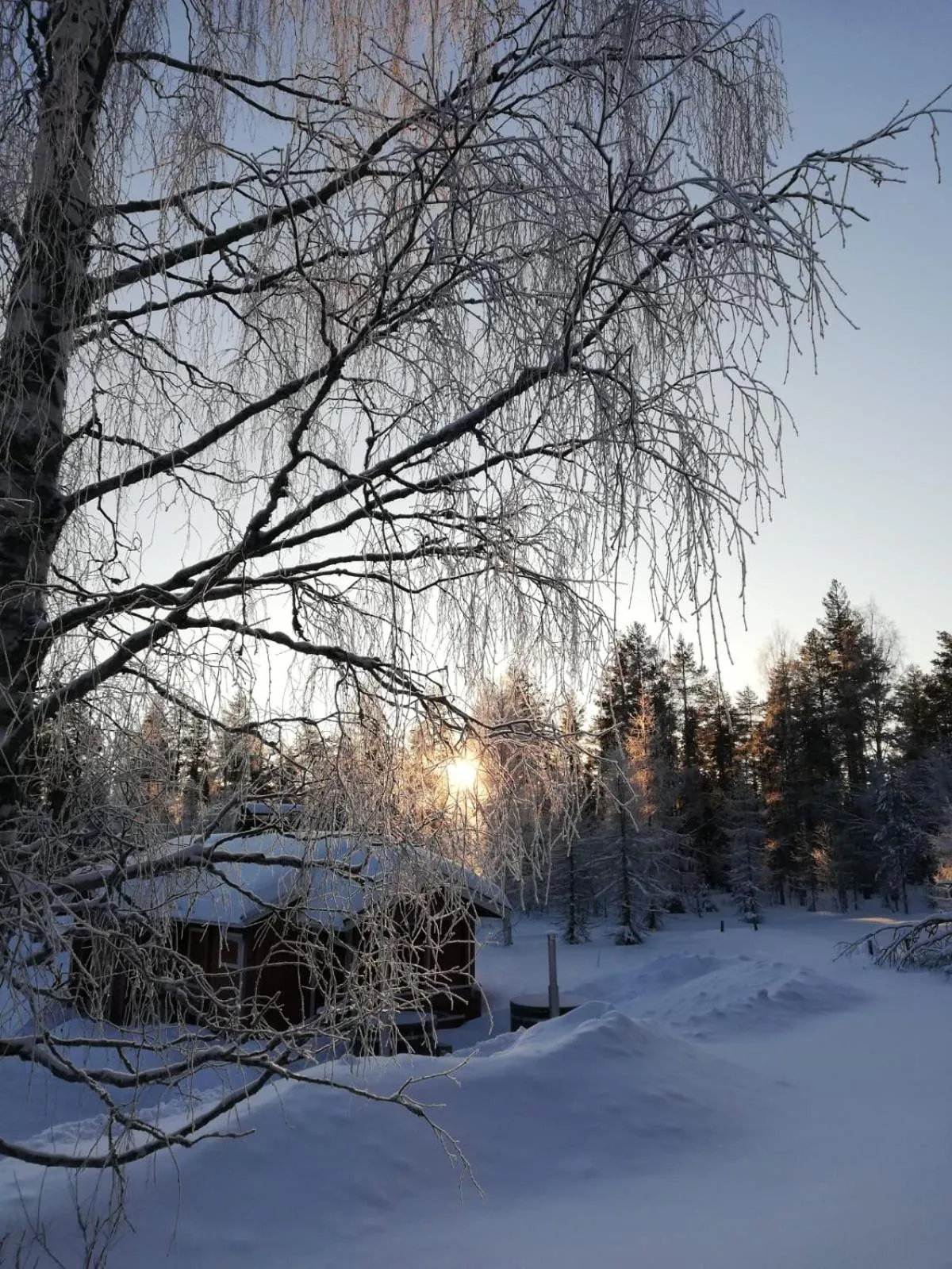 Old Pine Husky Lodge