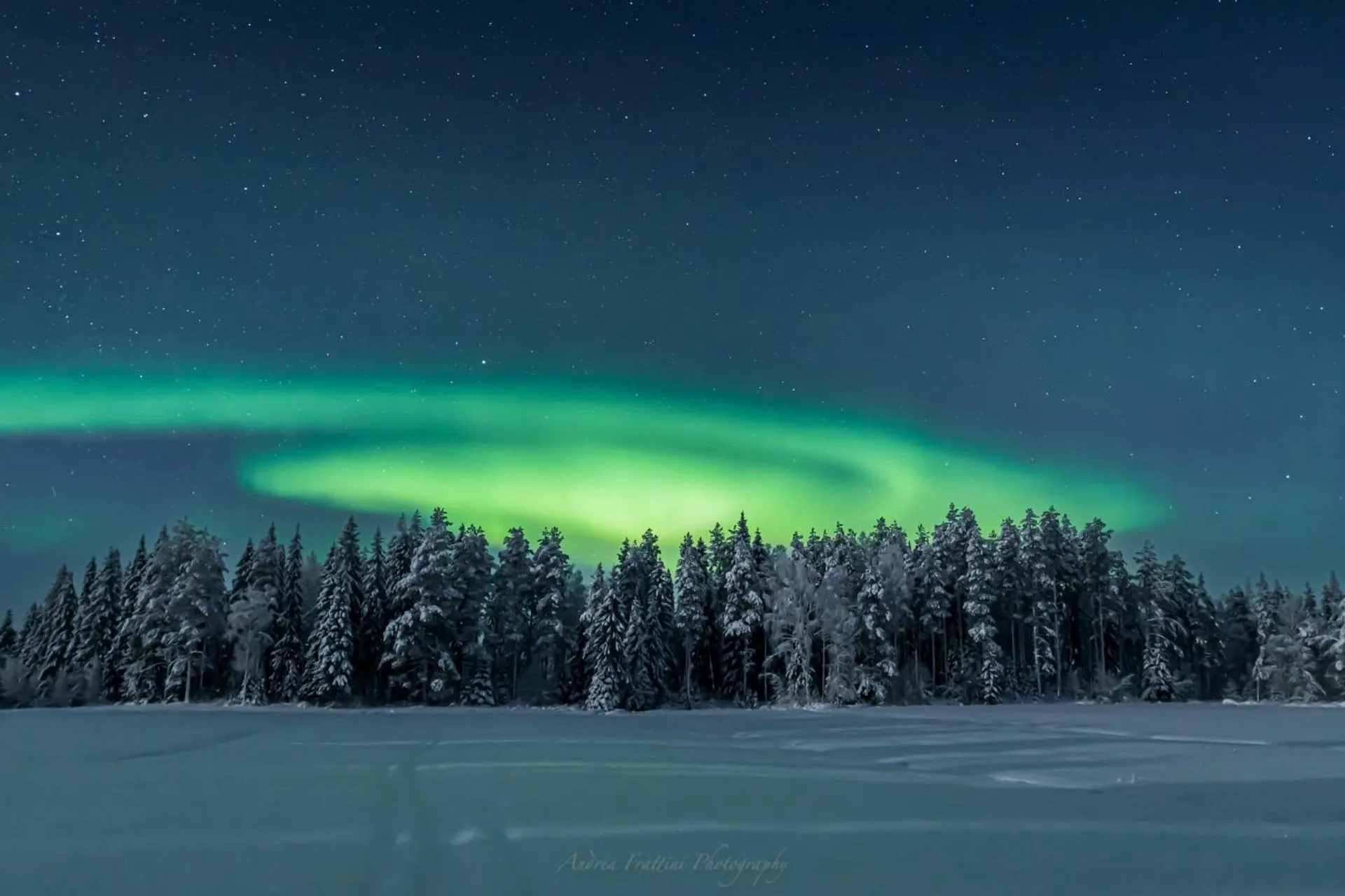 Old Pine Husky Lodge