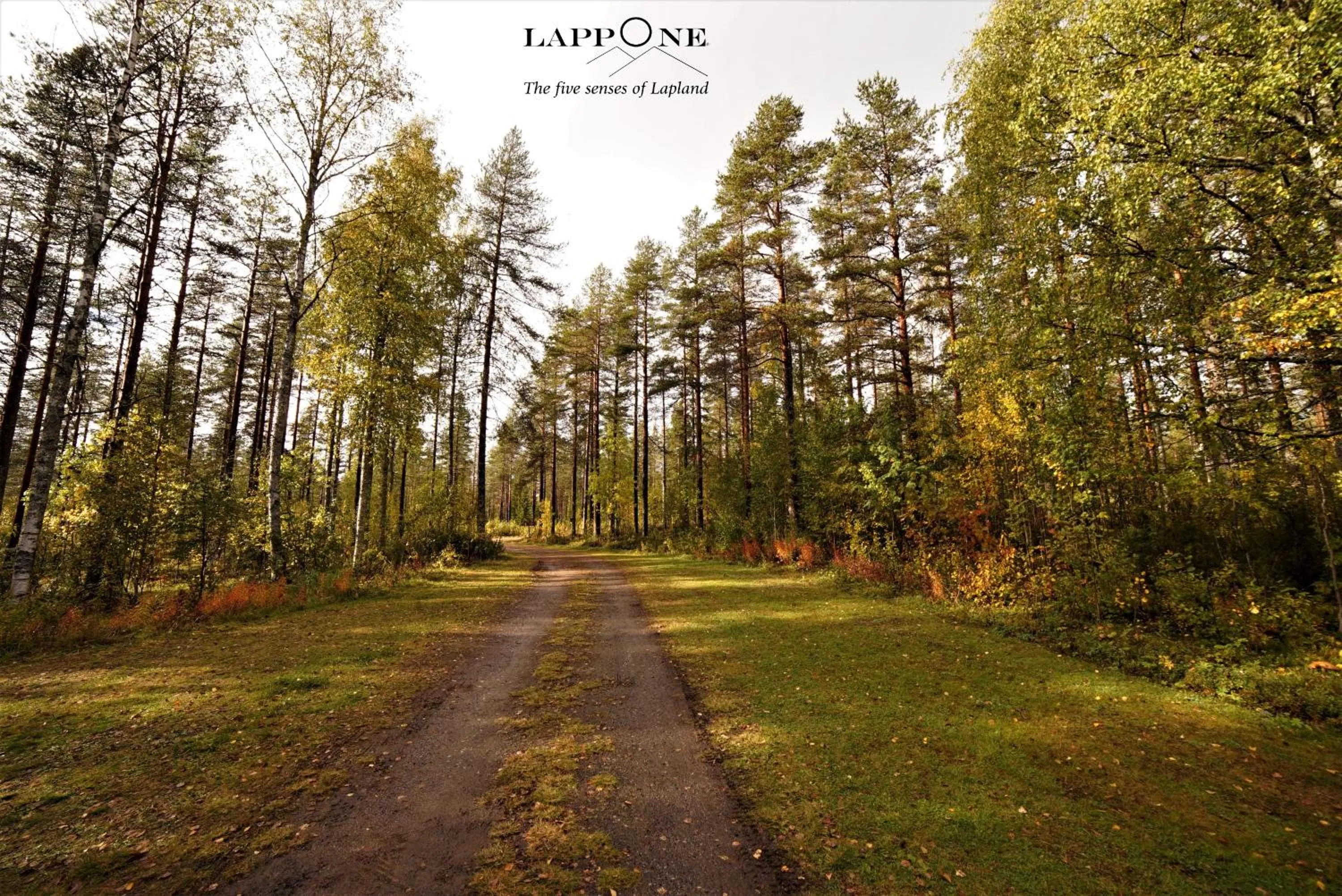 Old Pine Husky Lodge