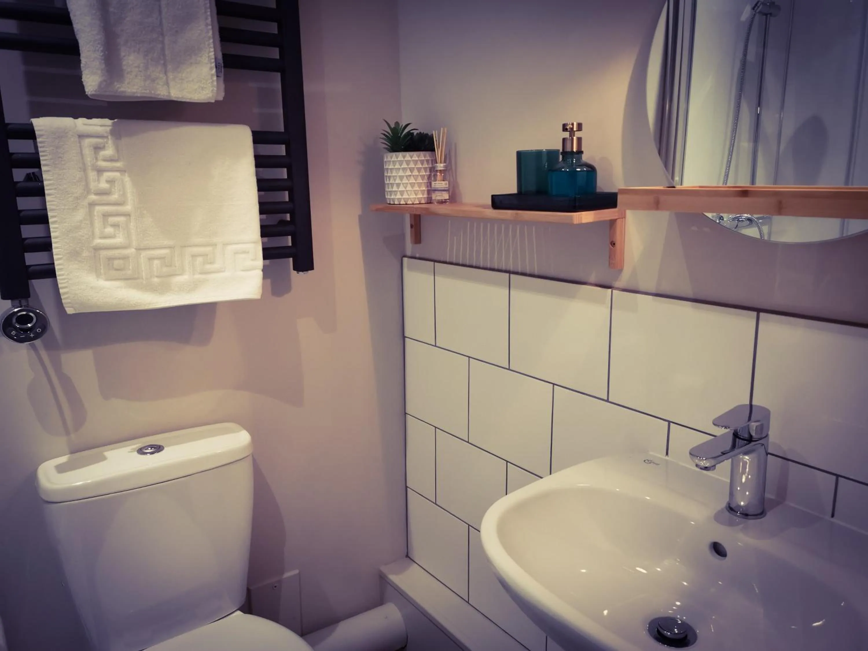 Bathroom in Exelby Green Dragon