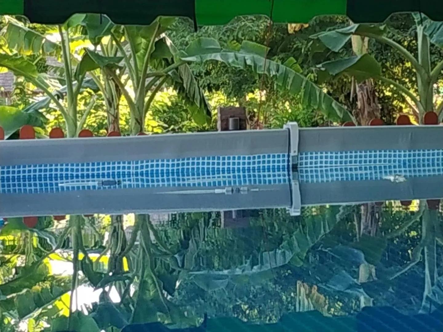 Swimming pool in Touch the Wind