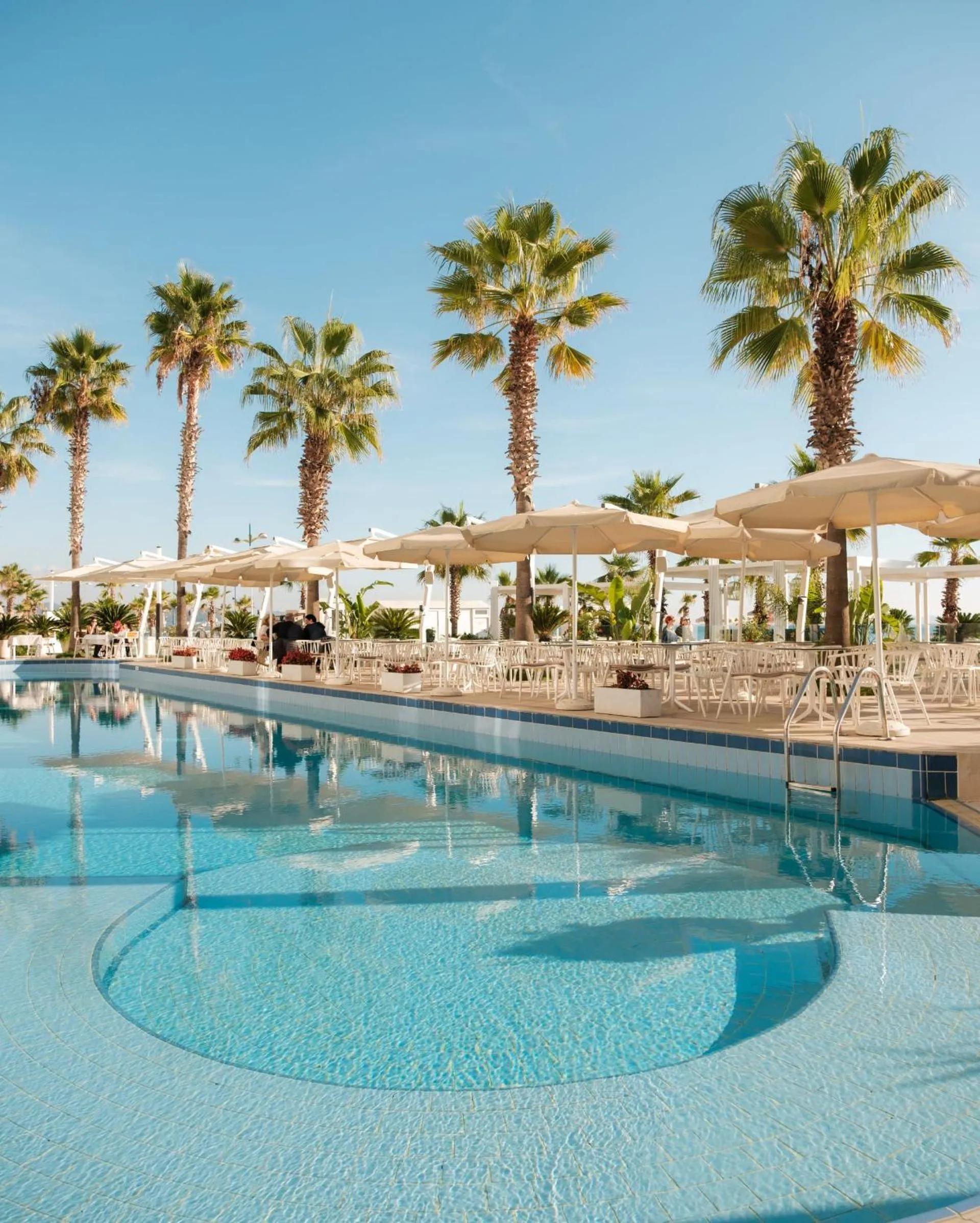 Lounge or bar in Palace Hotel & SPA