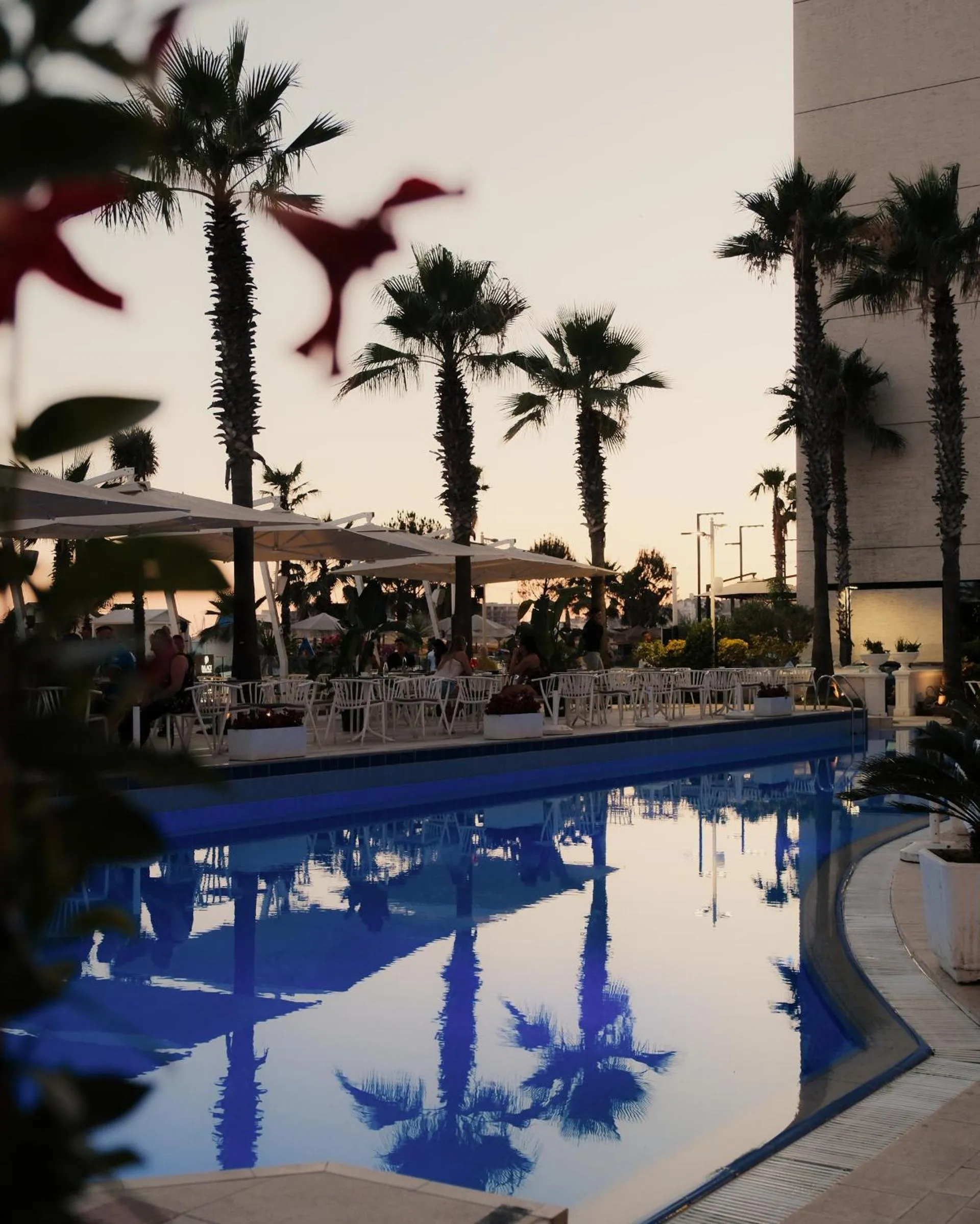 Lounge or bar in Palace Hotel & SPA