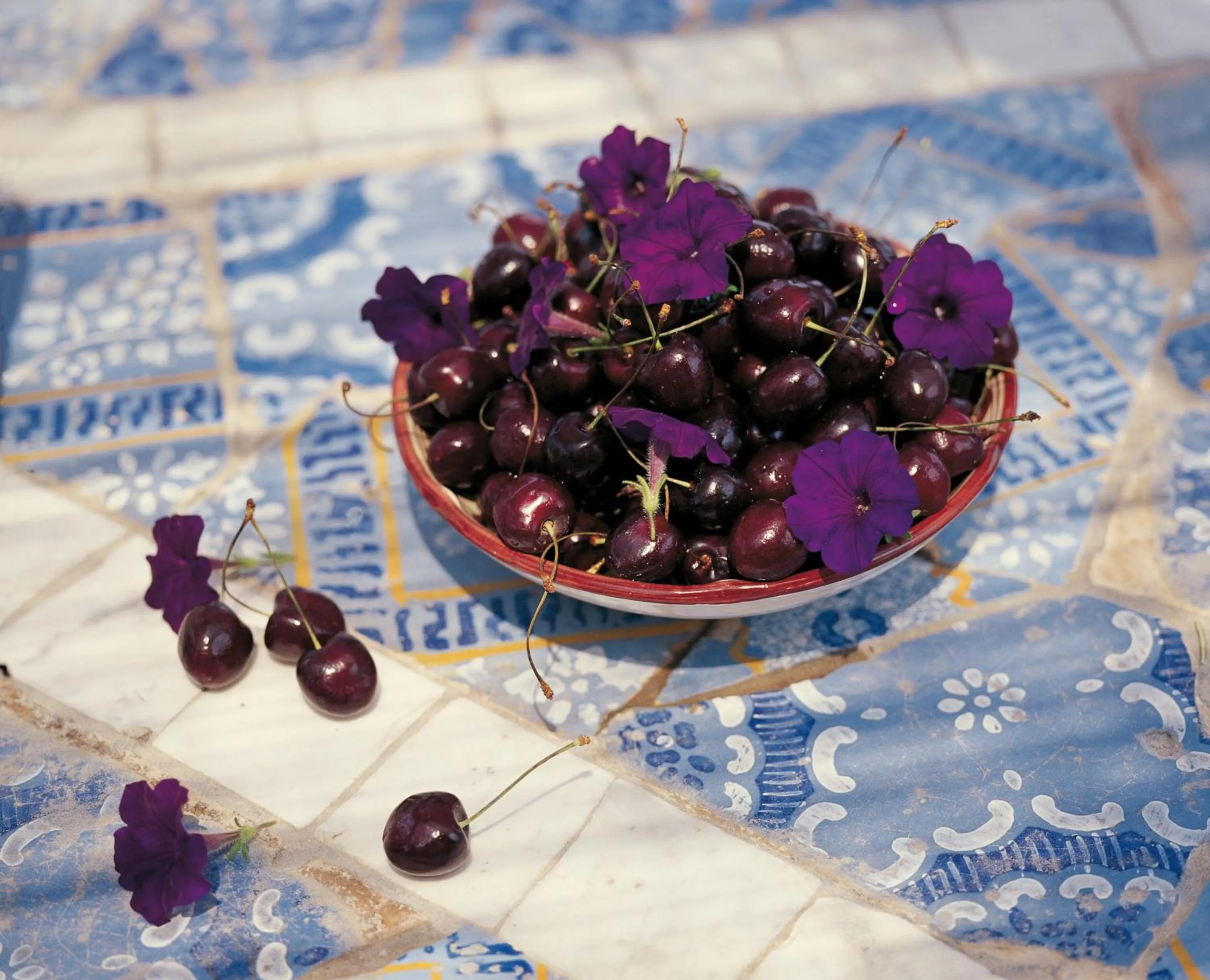Food close-up in Villa Laetitia