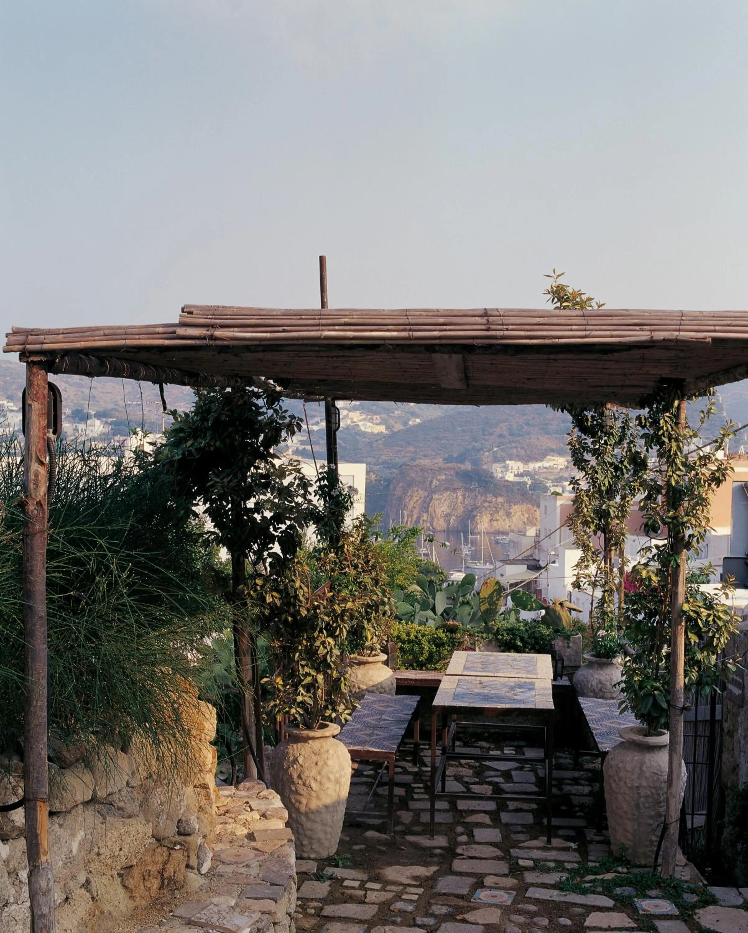 Garden in Villa Laetitia