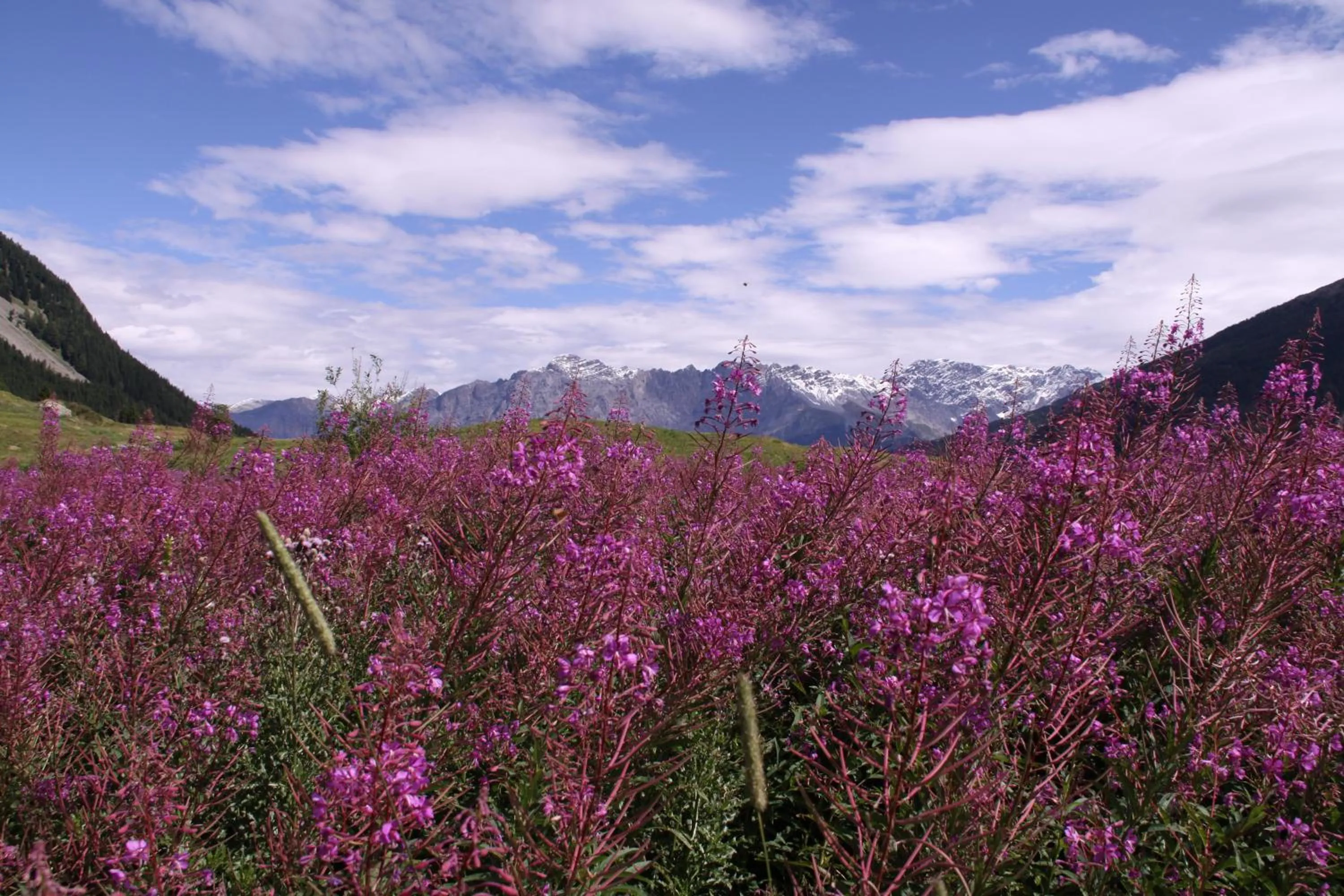 Nearby landmark in Residence Iris BeB