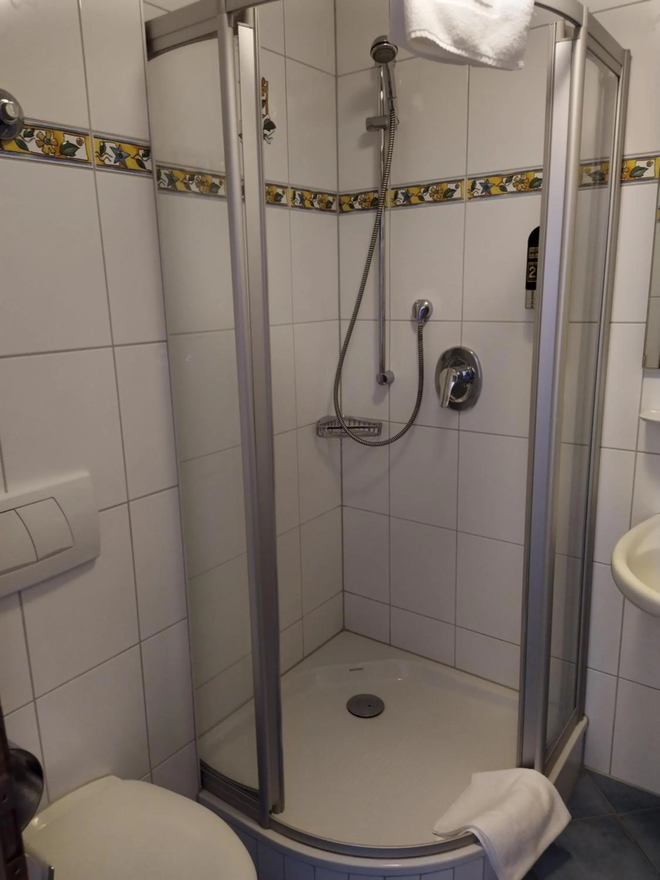Shower in Hotel Faller