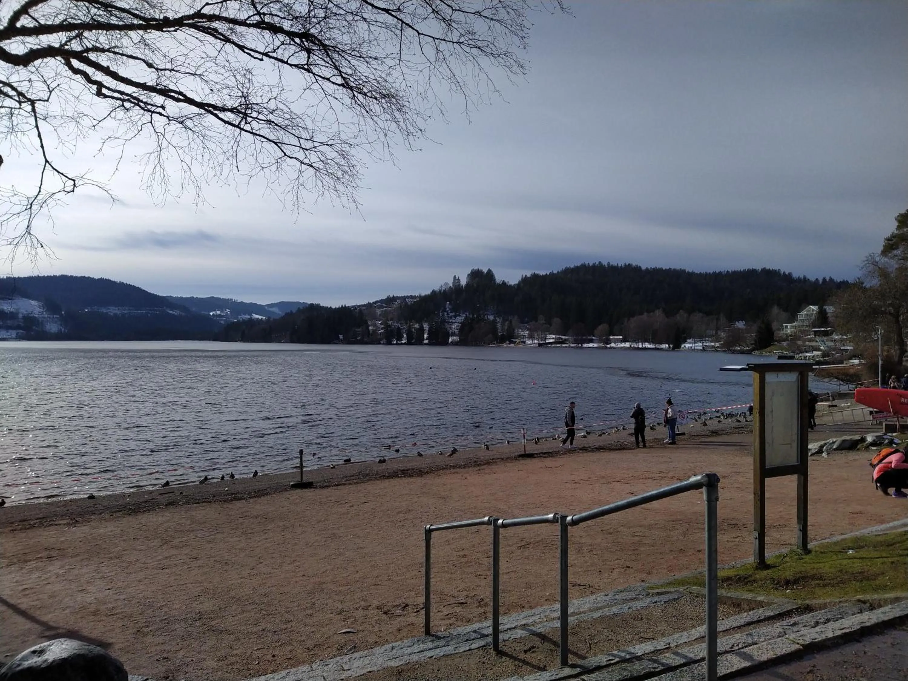 Natural landscape in Hotel Faller